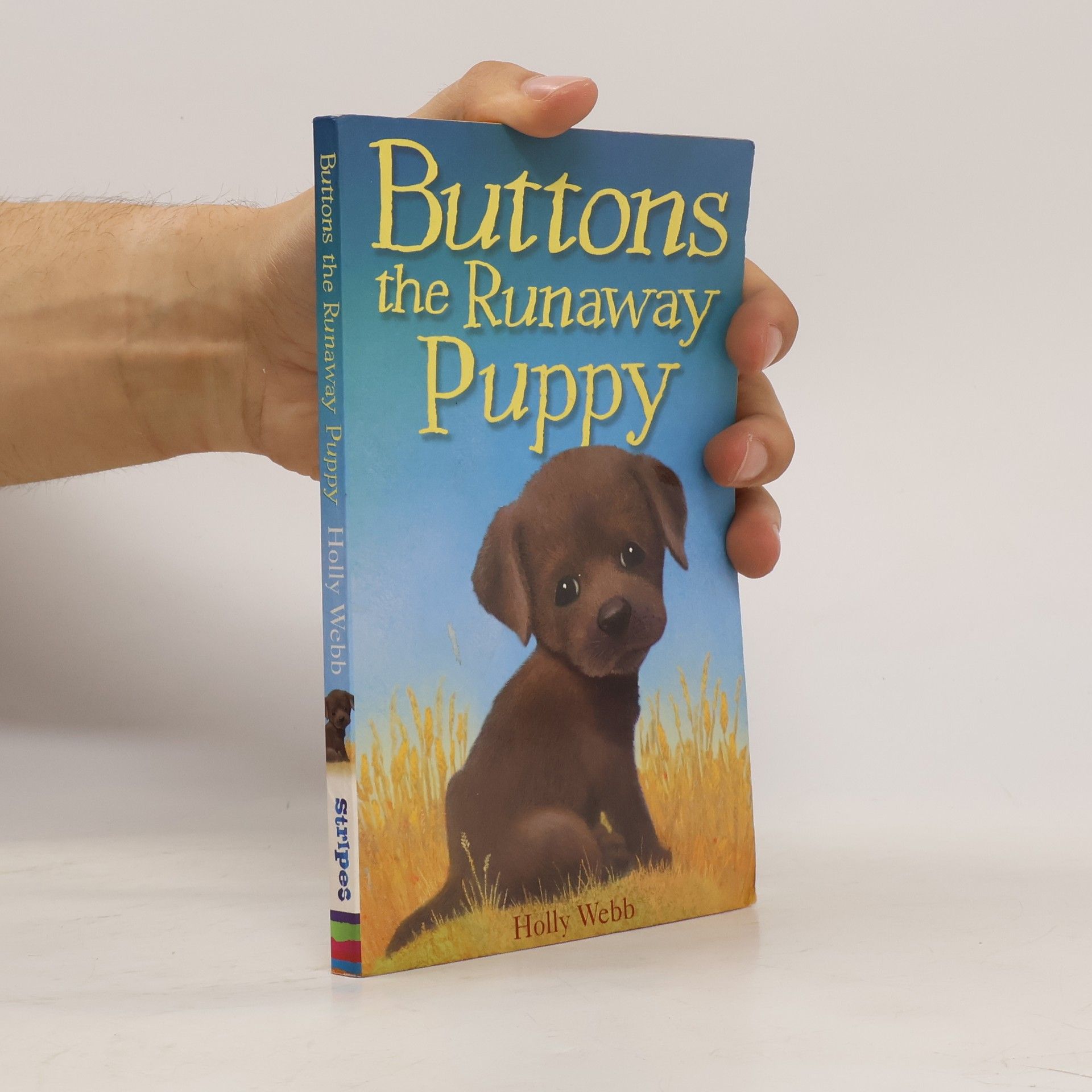 Holly Webb Buttons the Runaway Puppy