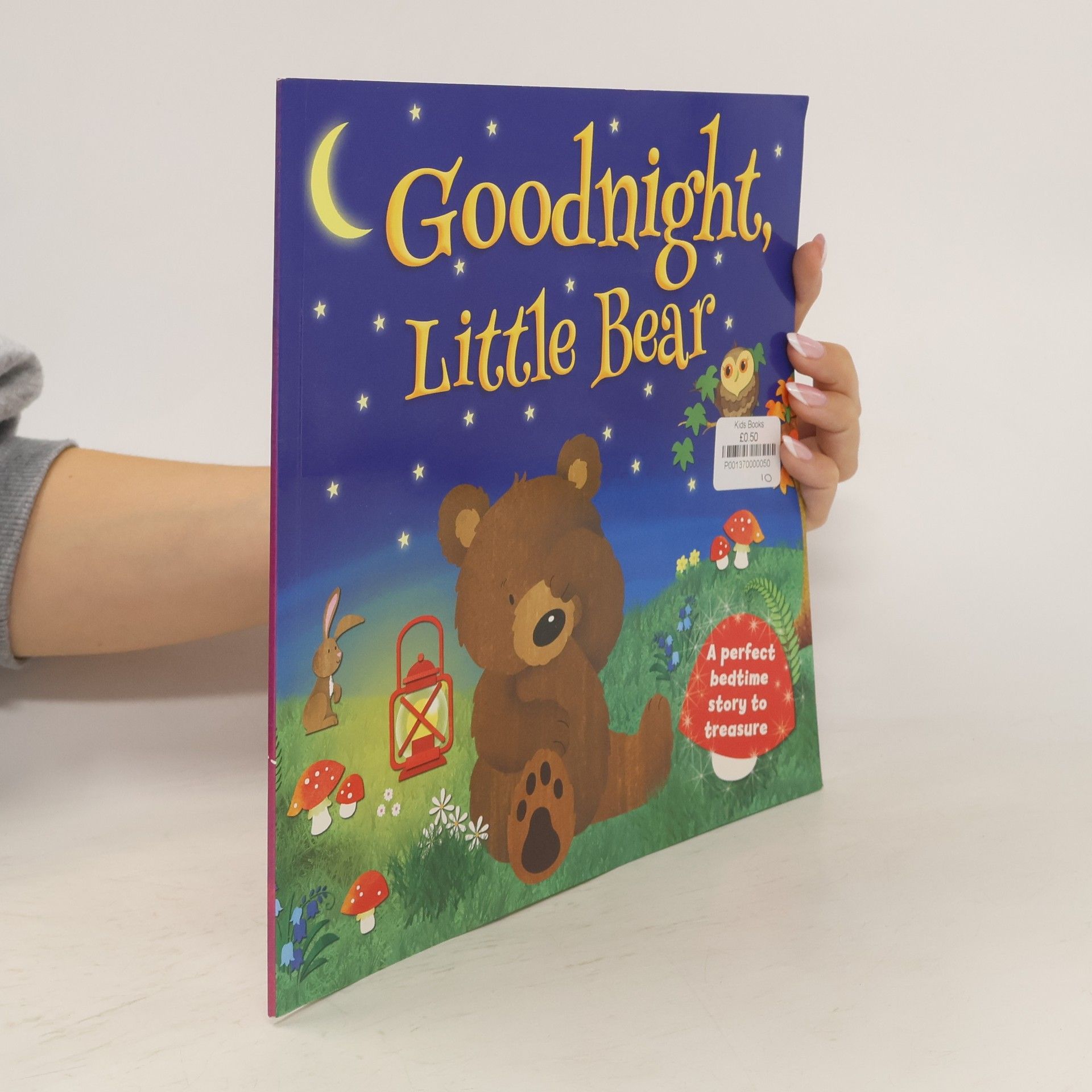 Melanie Joyce Goodnight Little Bear