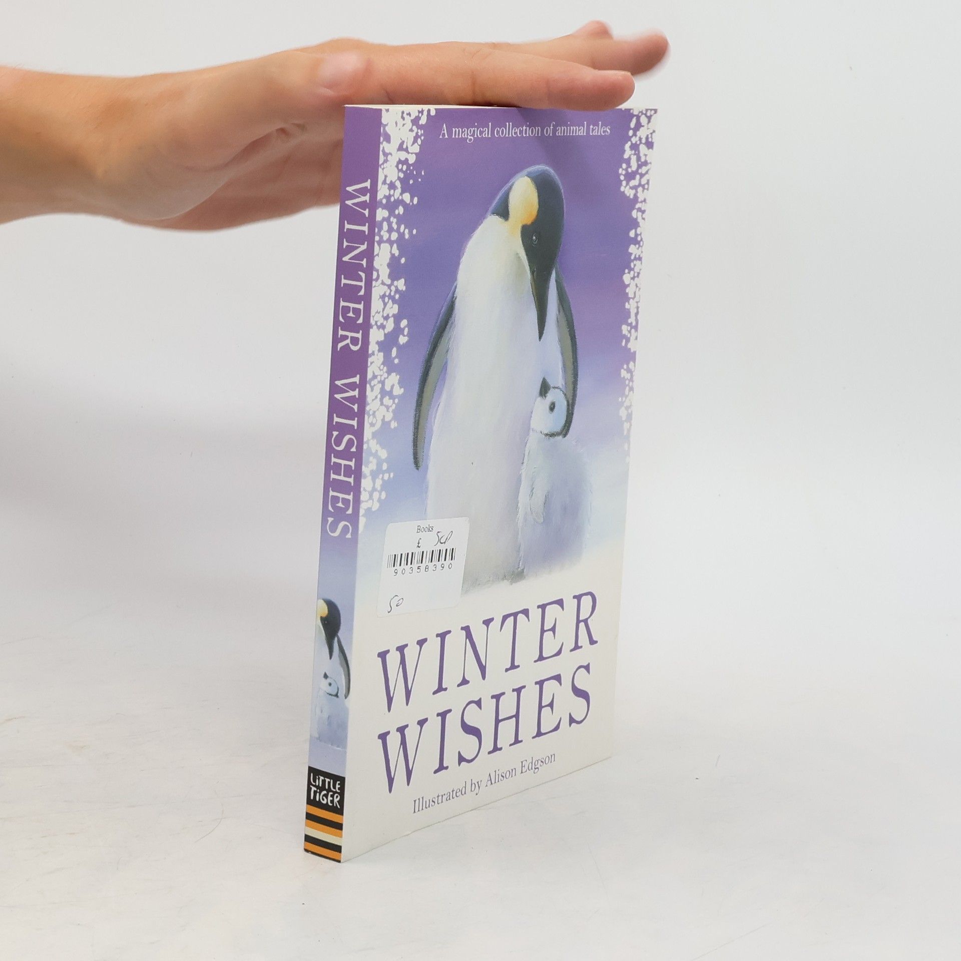 Various Authors Winter Wishes