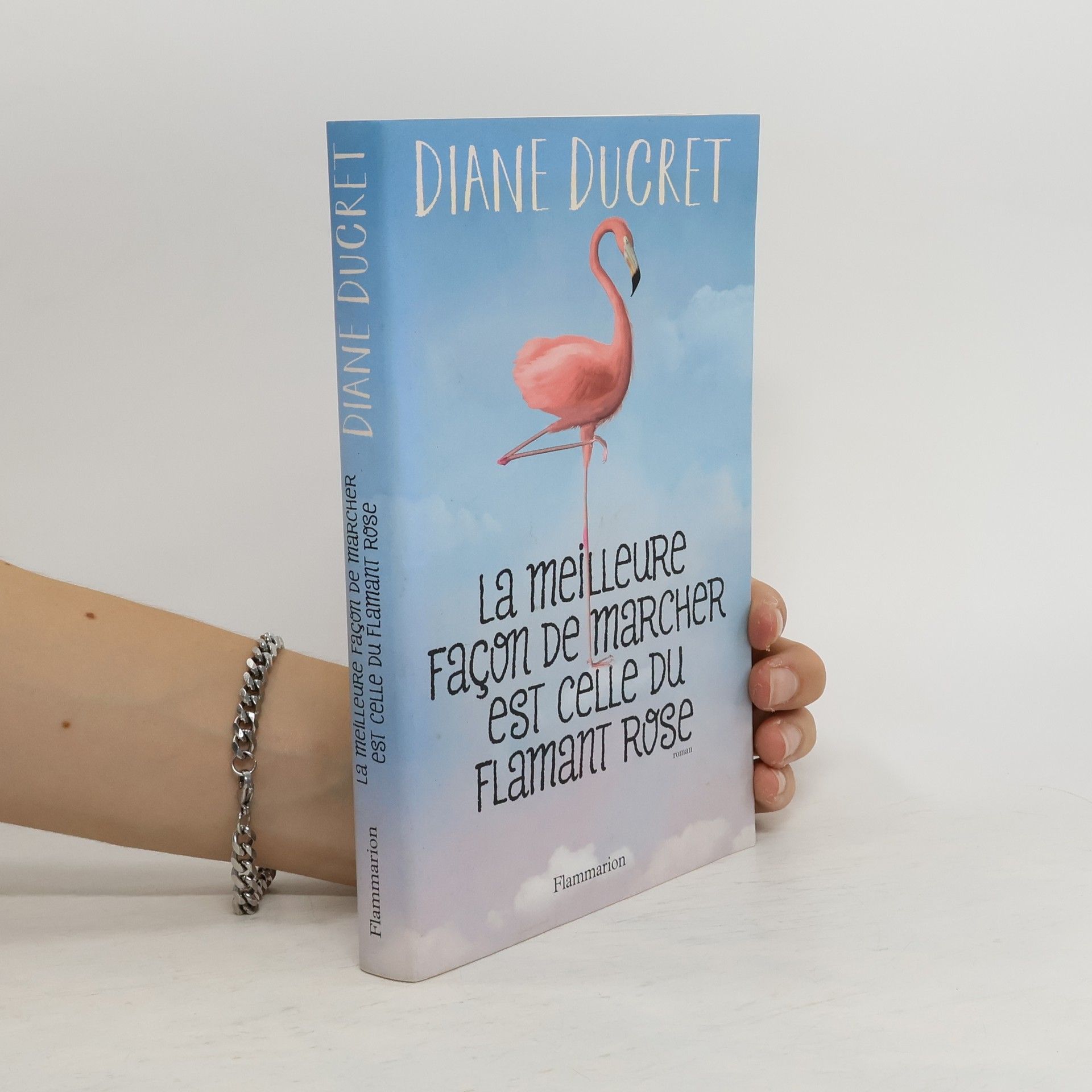 Diane Ducret La meilleure façon de marcher est celle du flamant rose
