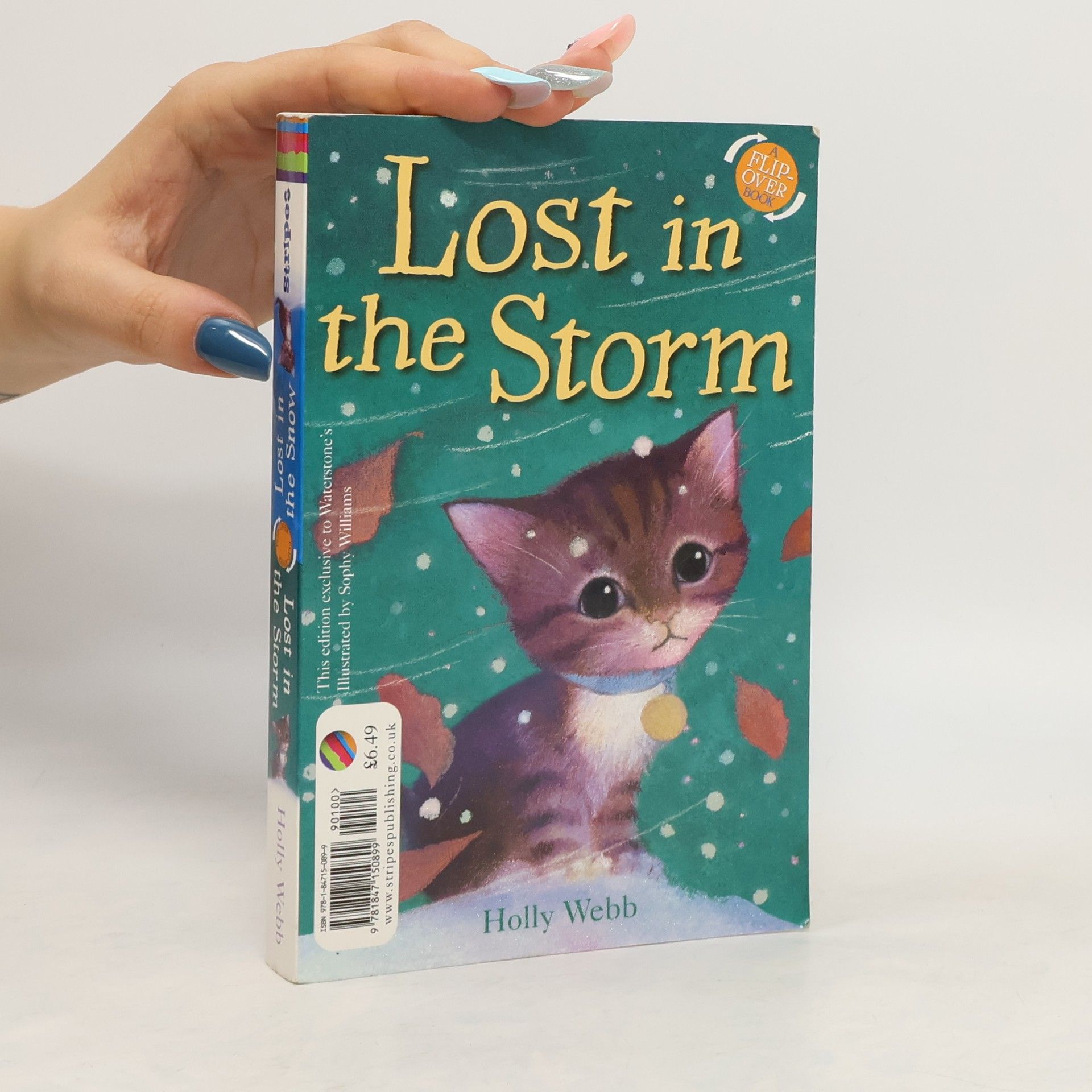 Holly Webb Lost in the Snow