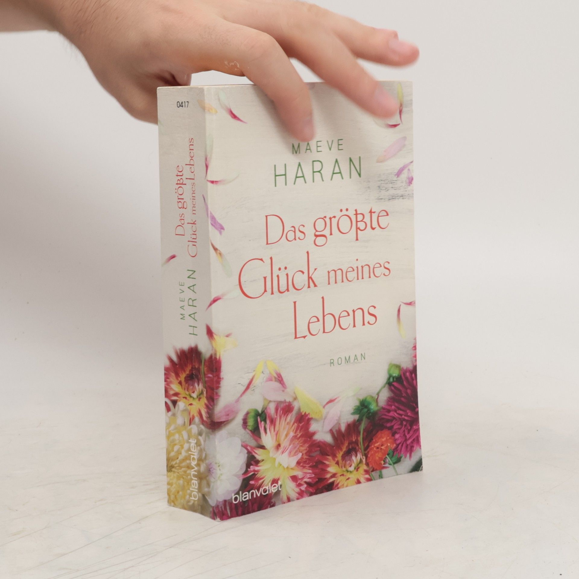 Maeve Haran Das größte Glück meines Lebens