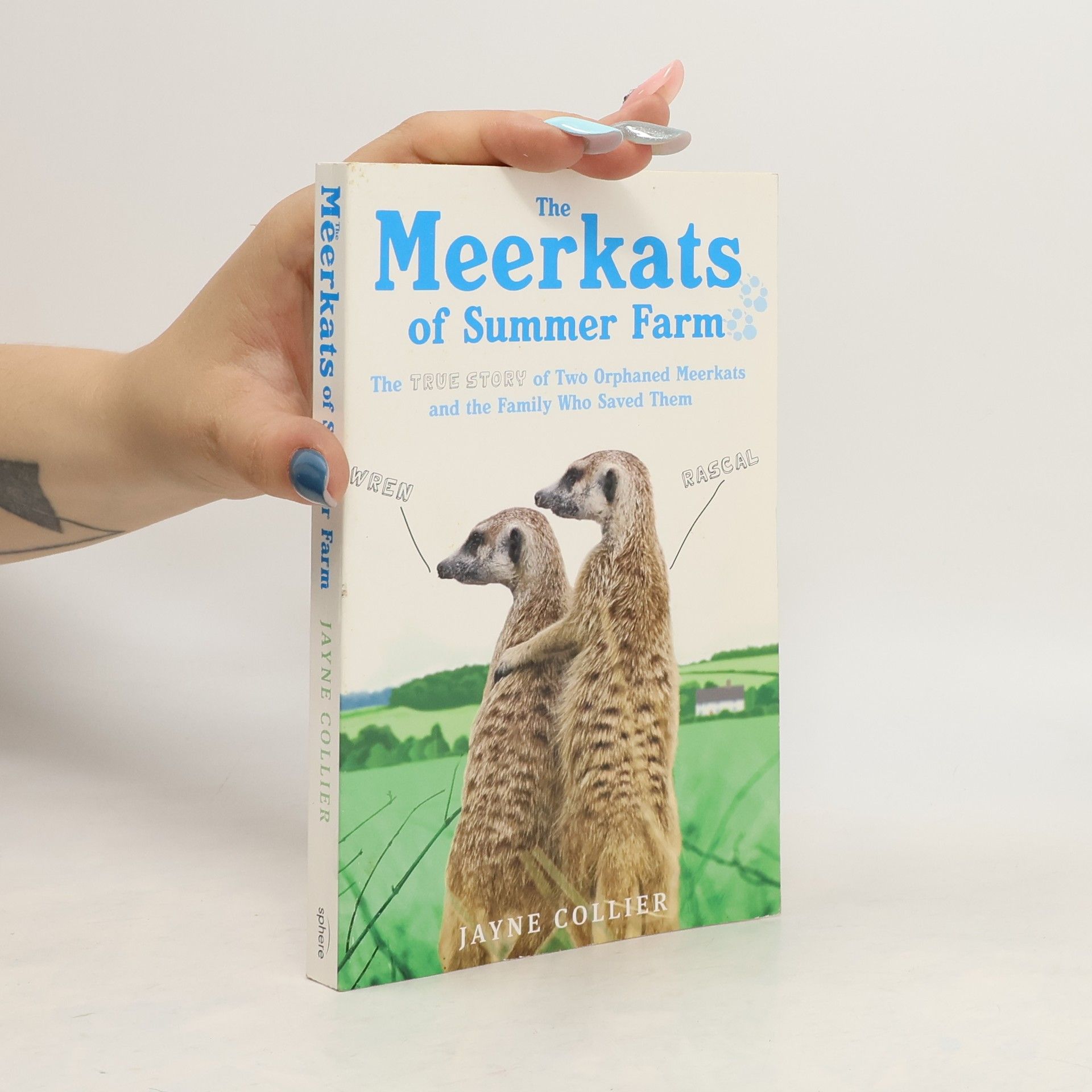 Jayne Collier The Meerkats of Summer Farm