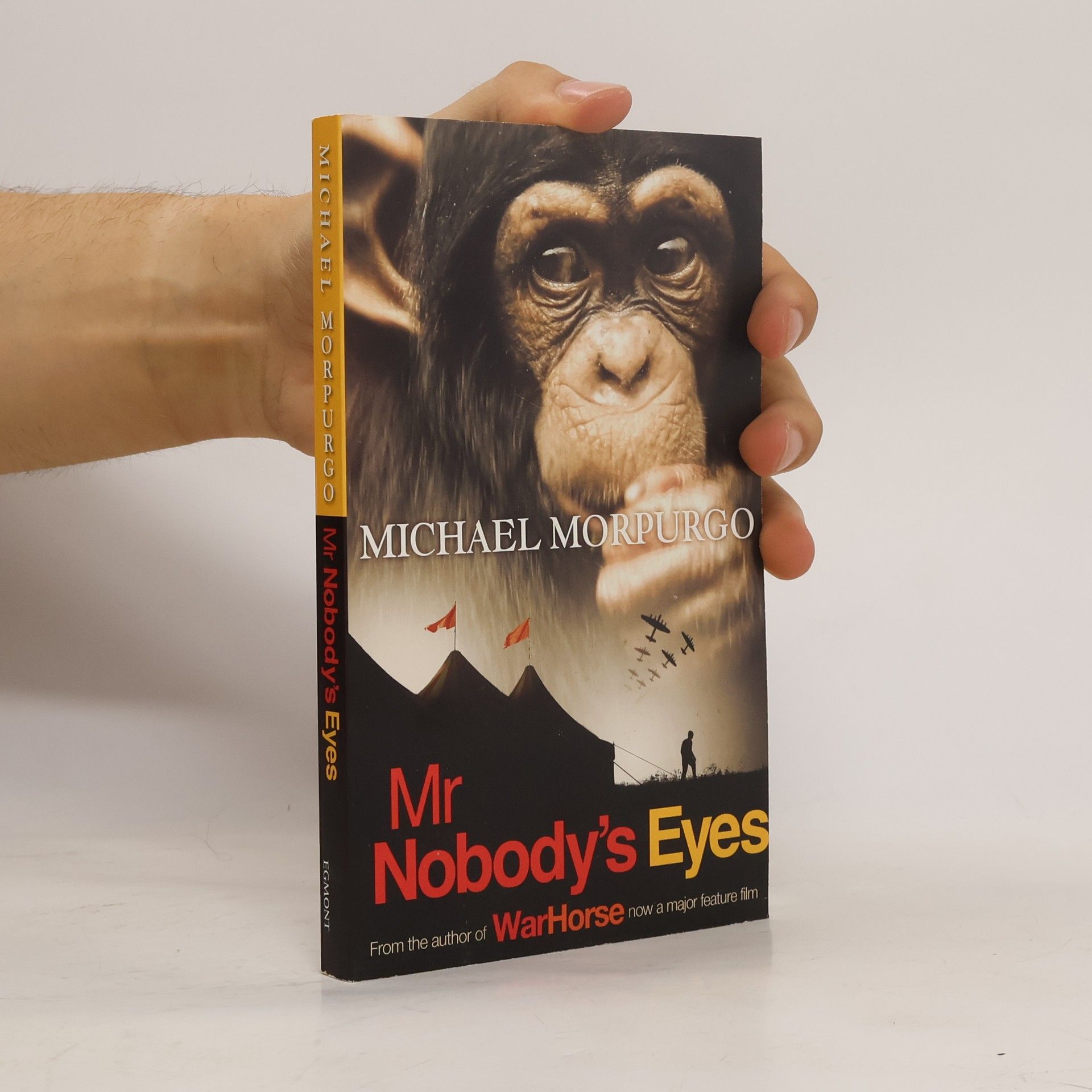 Michael Morpugo Mr Nobody's Eyes
