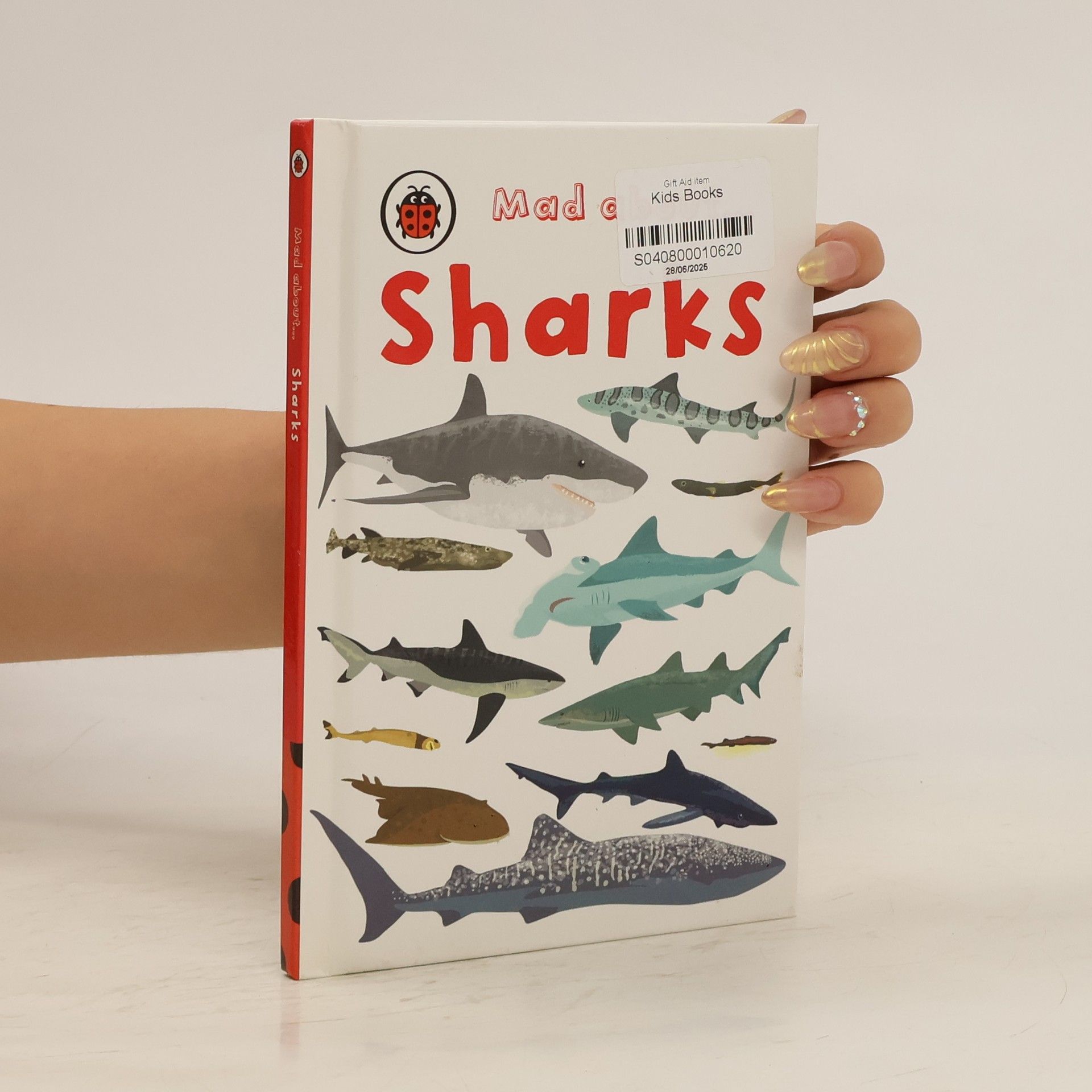 Deborah Murrell Mad About Sharks