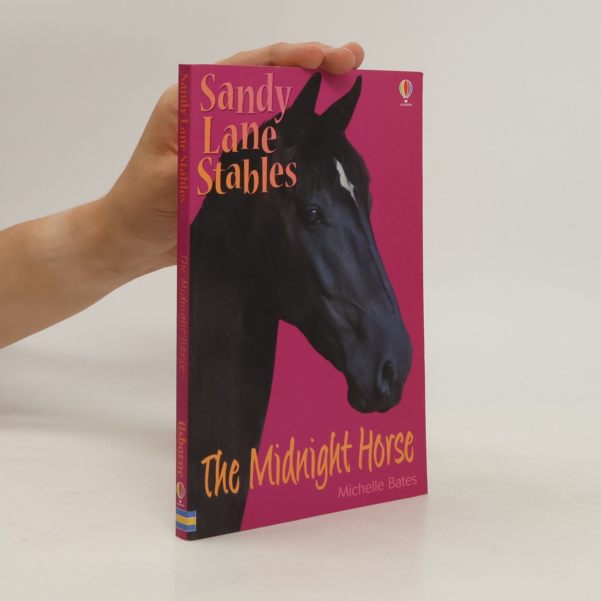 Michelle Bates The Midnight Horse