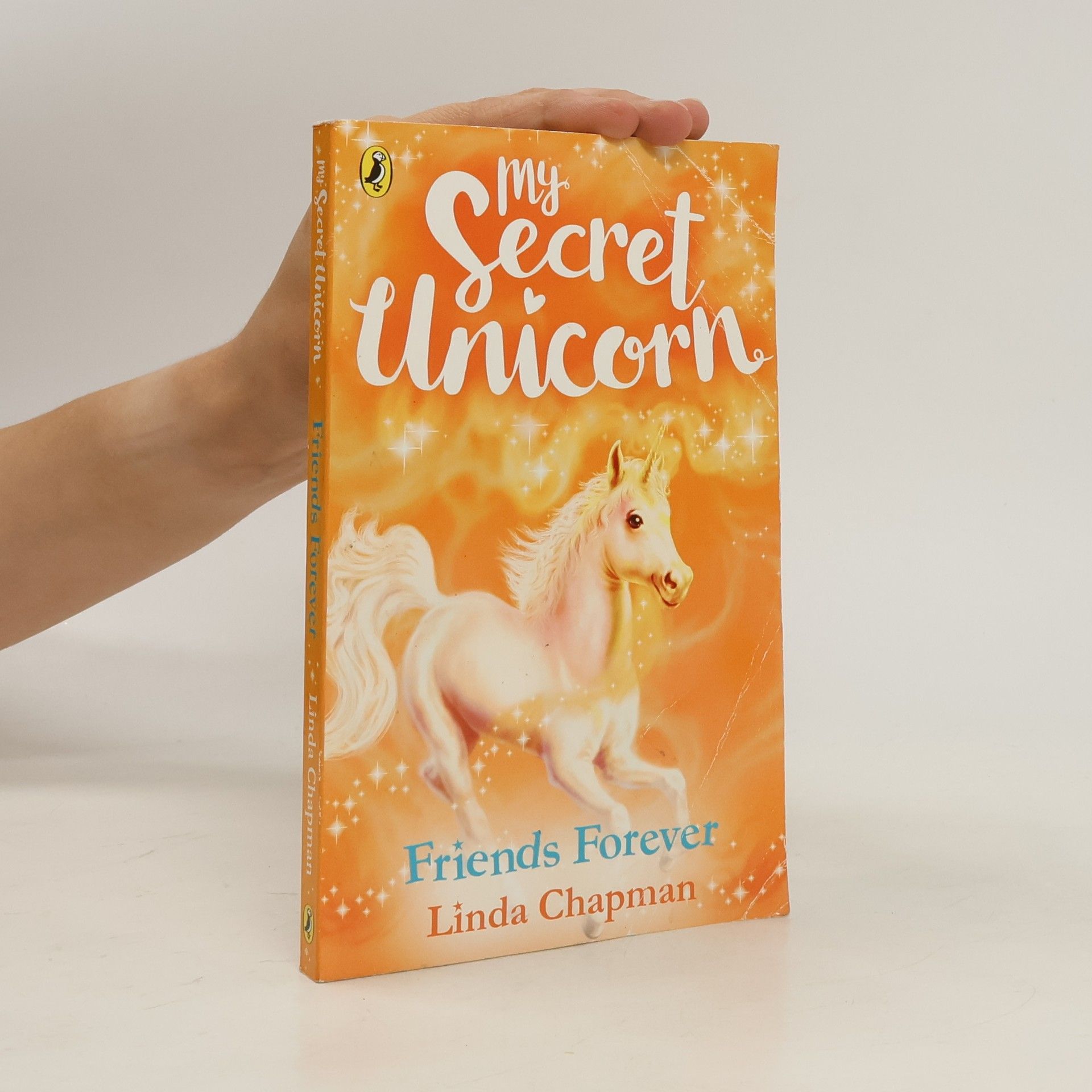 Linda Chapman My Secret Unicorn