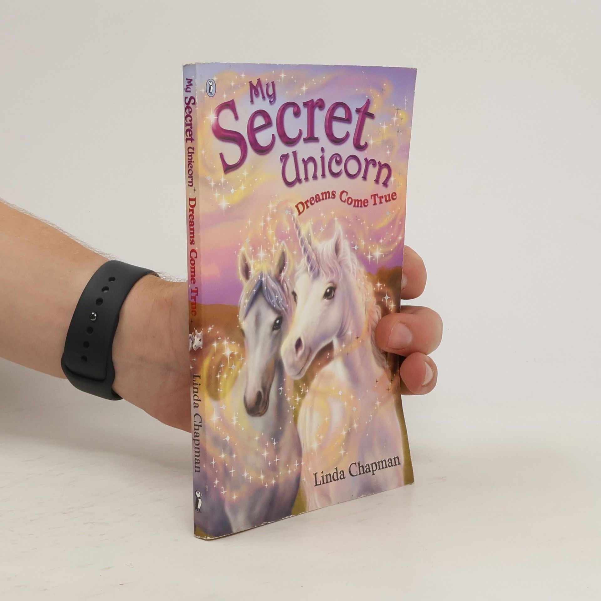 Linda Chapman My Secret Unicorn: Dreams Come True