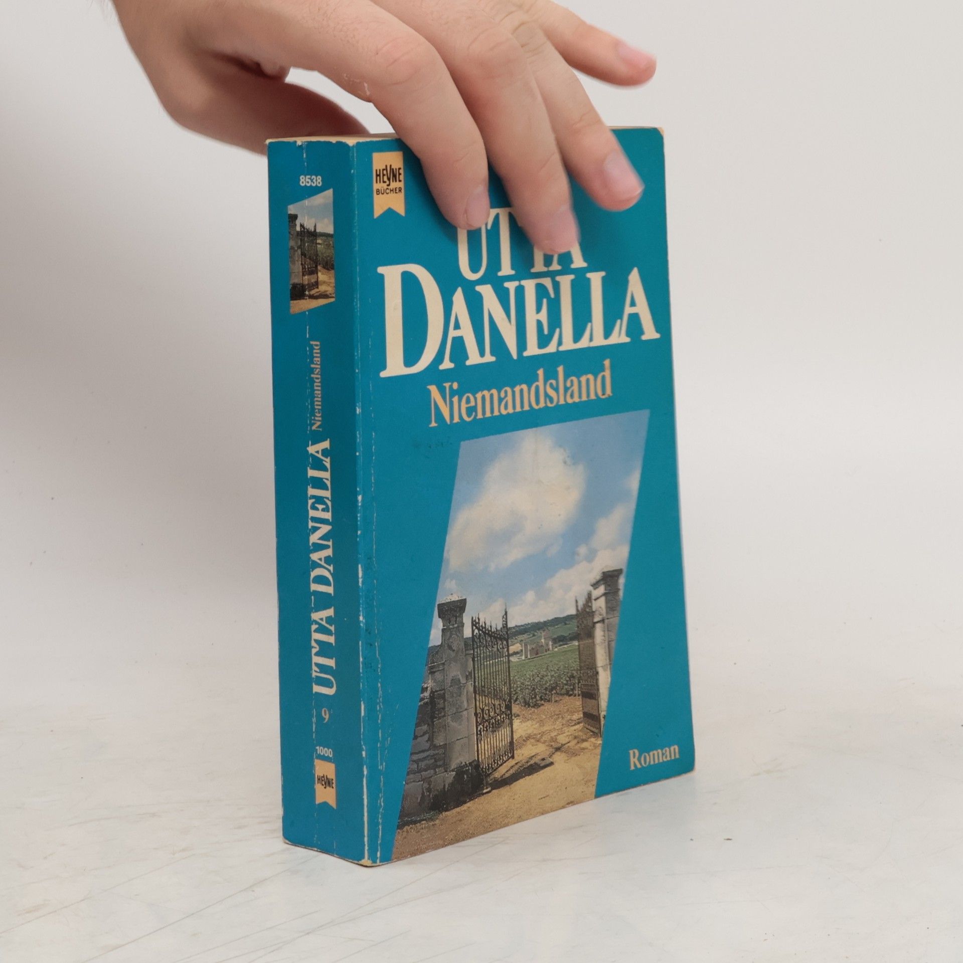 Utta Danella Niemandsland : Roman