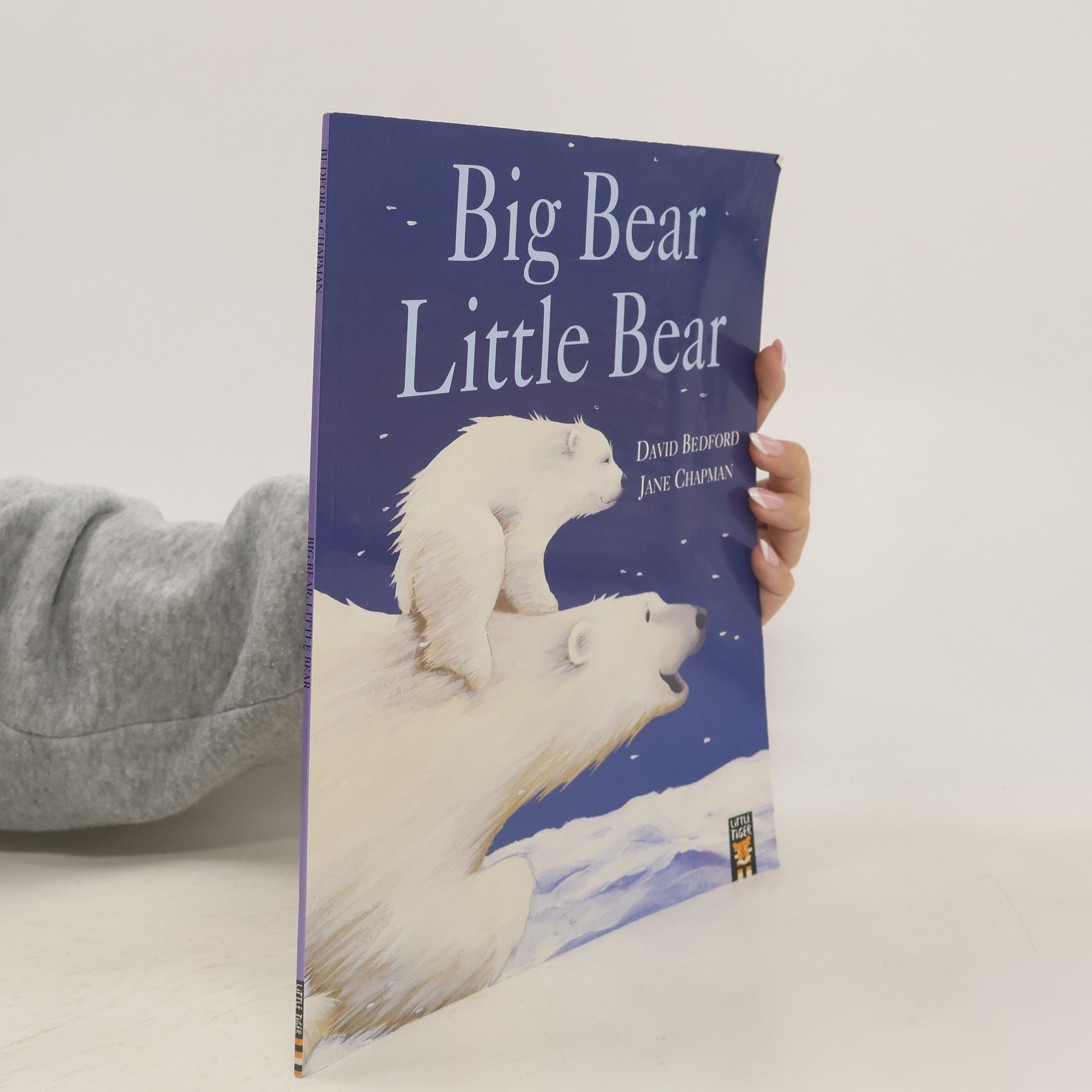 David Bedford Big Bear Little Bear