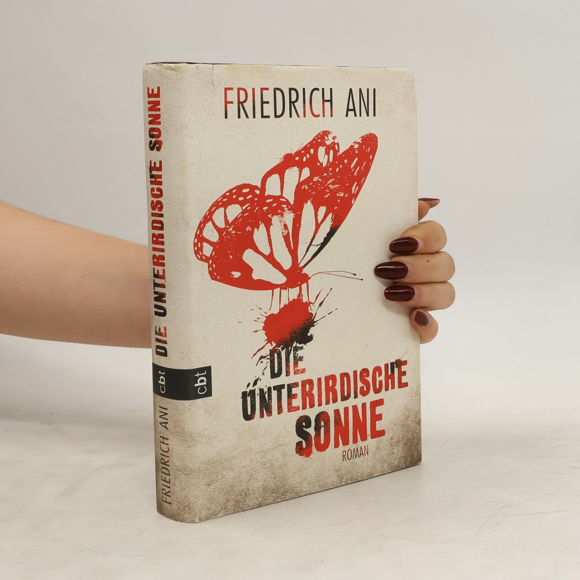 Friedrich Ani Die unterirdische Sonne