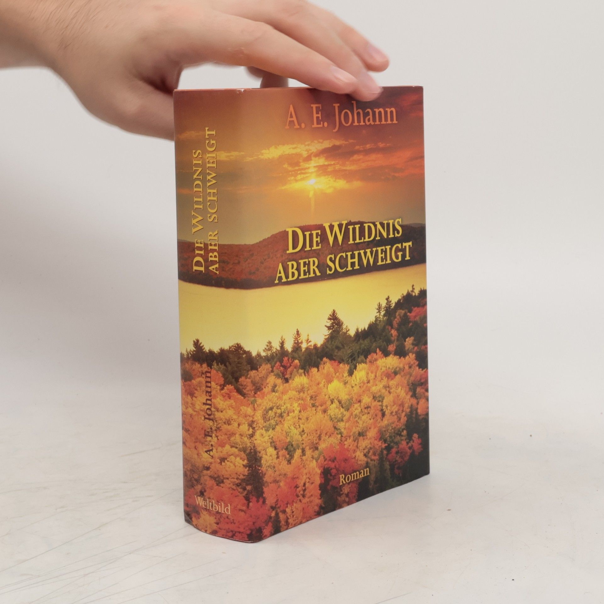 Alfred E. Johann Die Wildnis aber schweigt