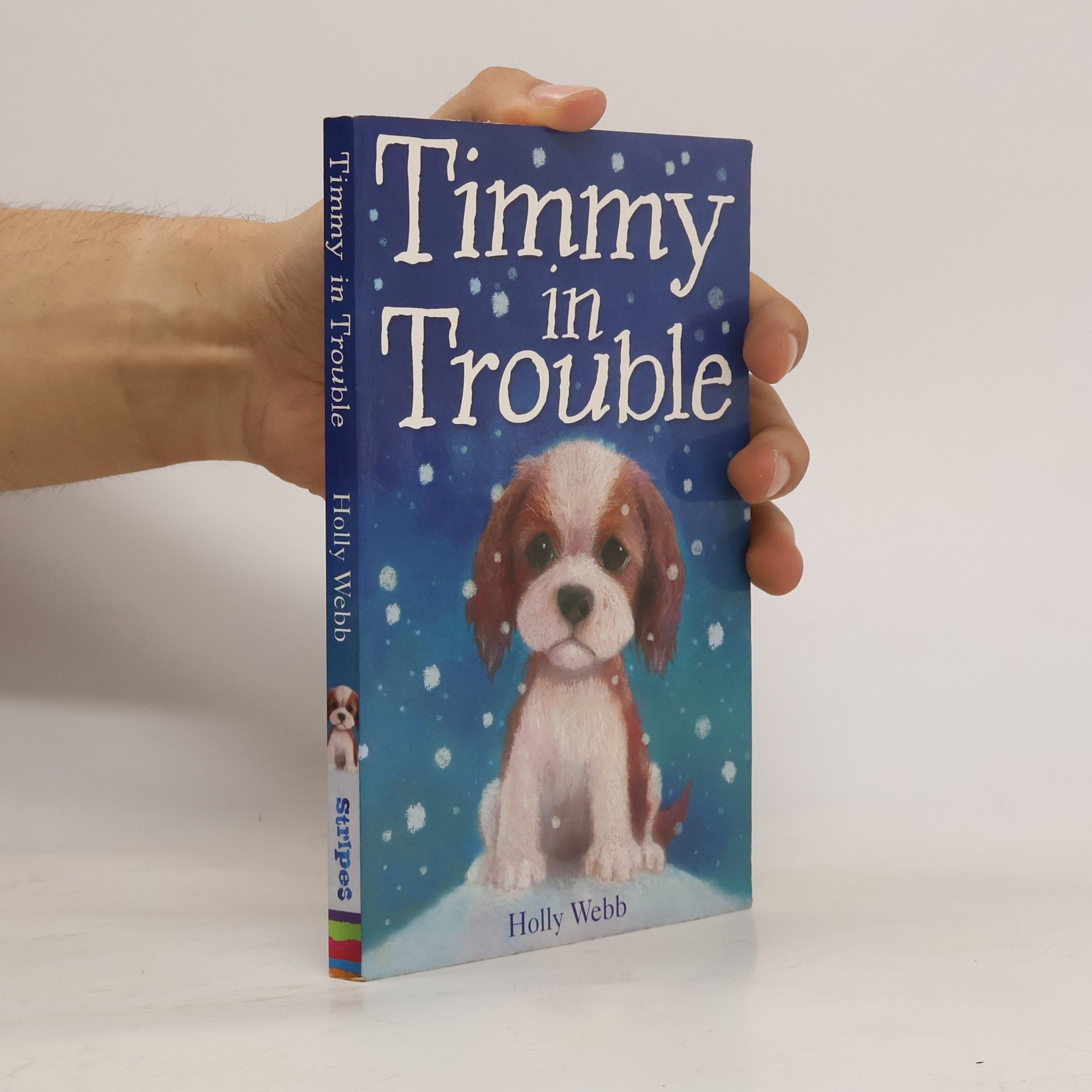 Holly Webb Timmy in Trouble
