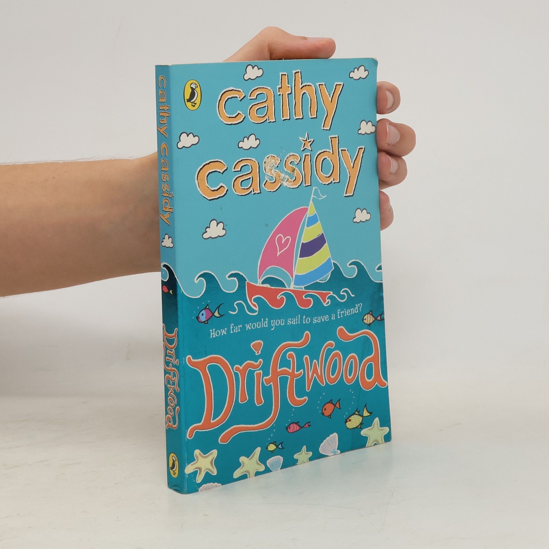 Cathy Cassidy Driftwood