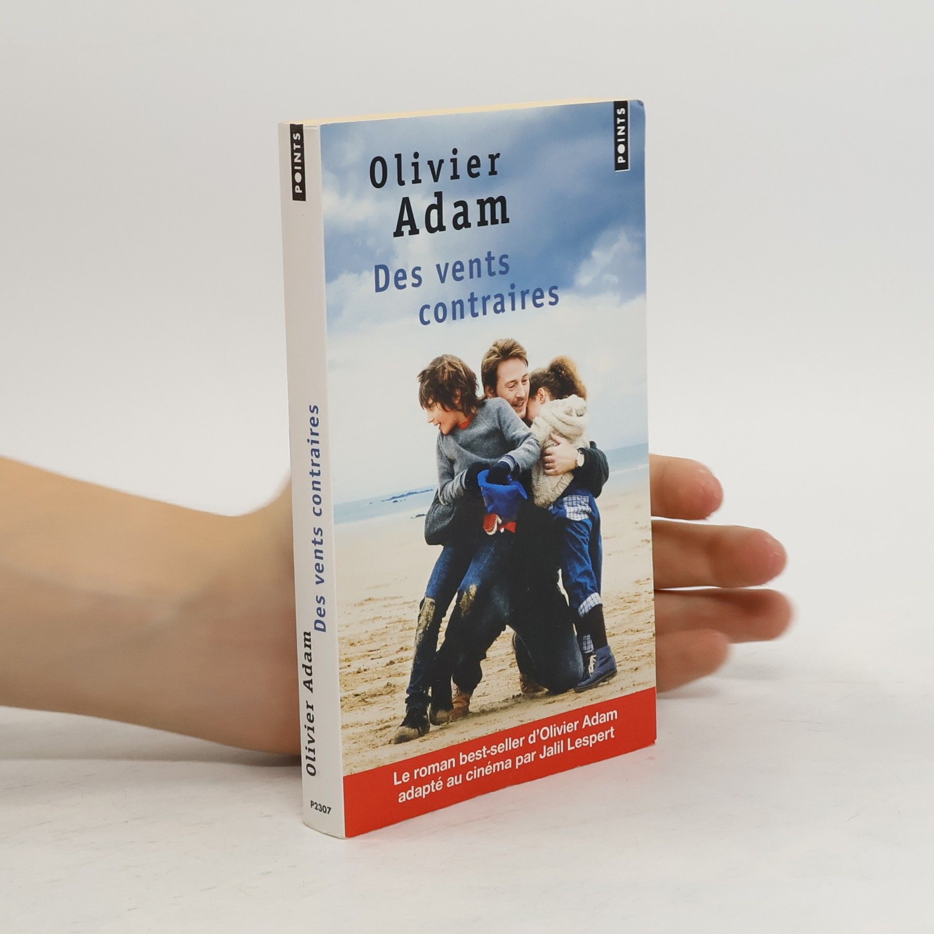 Olivier Adam Des vents contraires