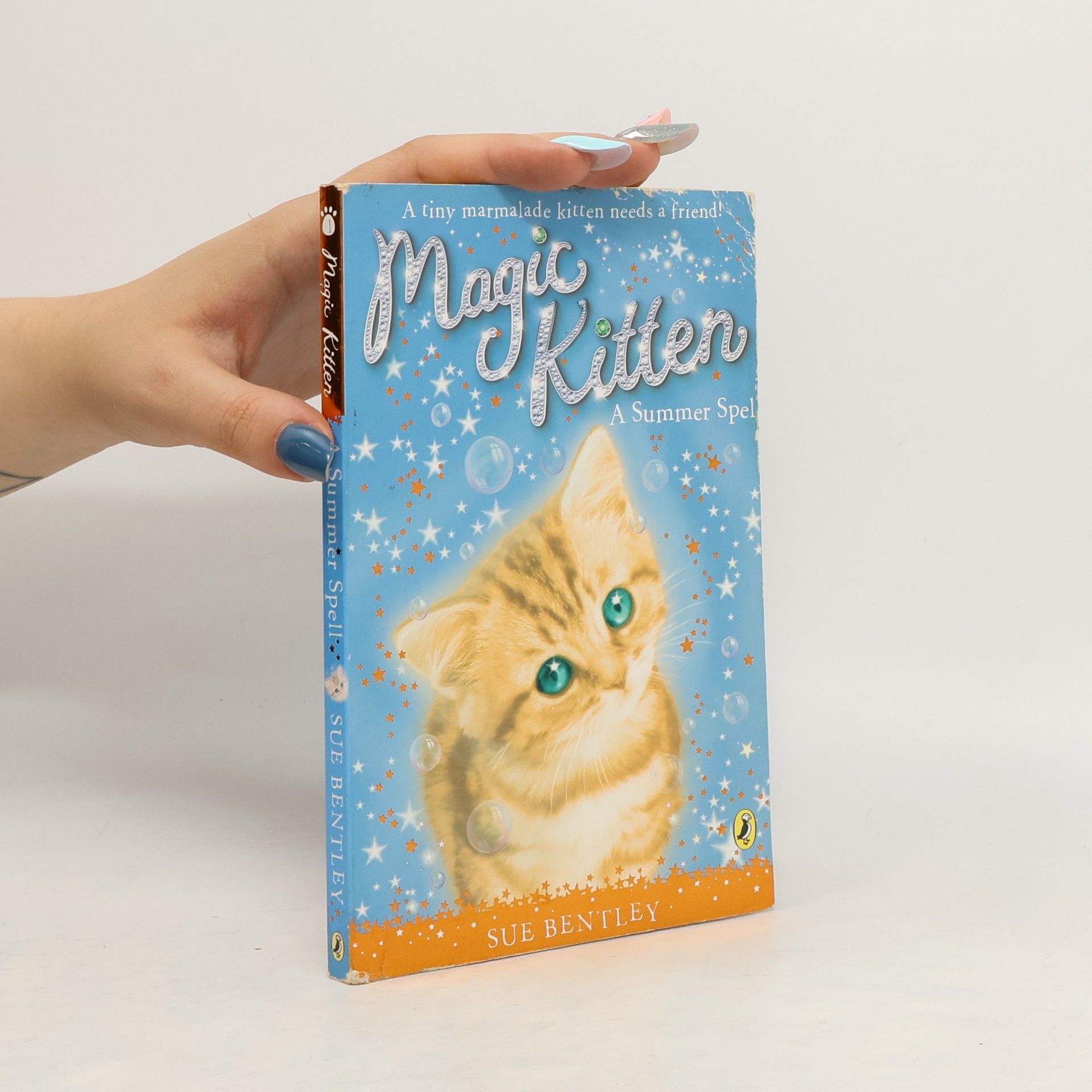Sue Bentley Magic Kitten