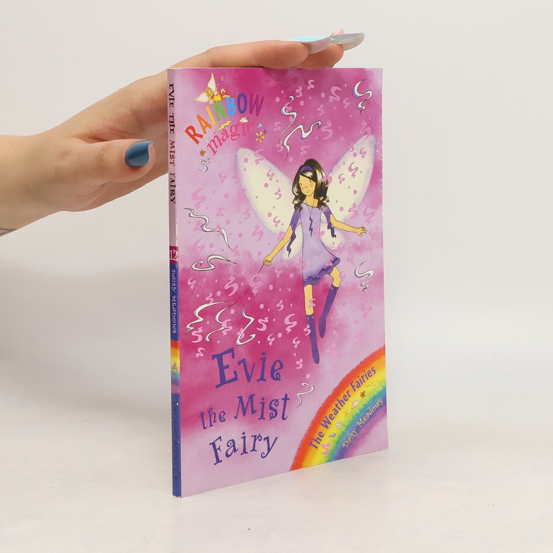 Daisy Meadows Evie the mist fairy