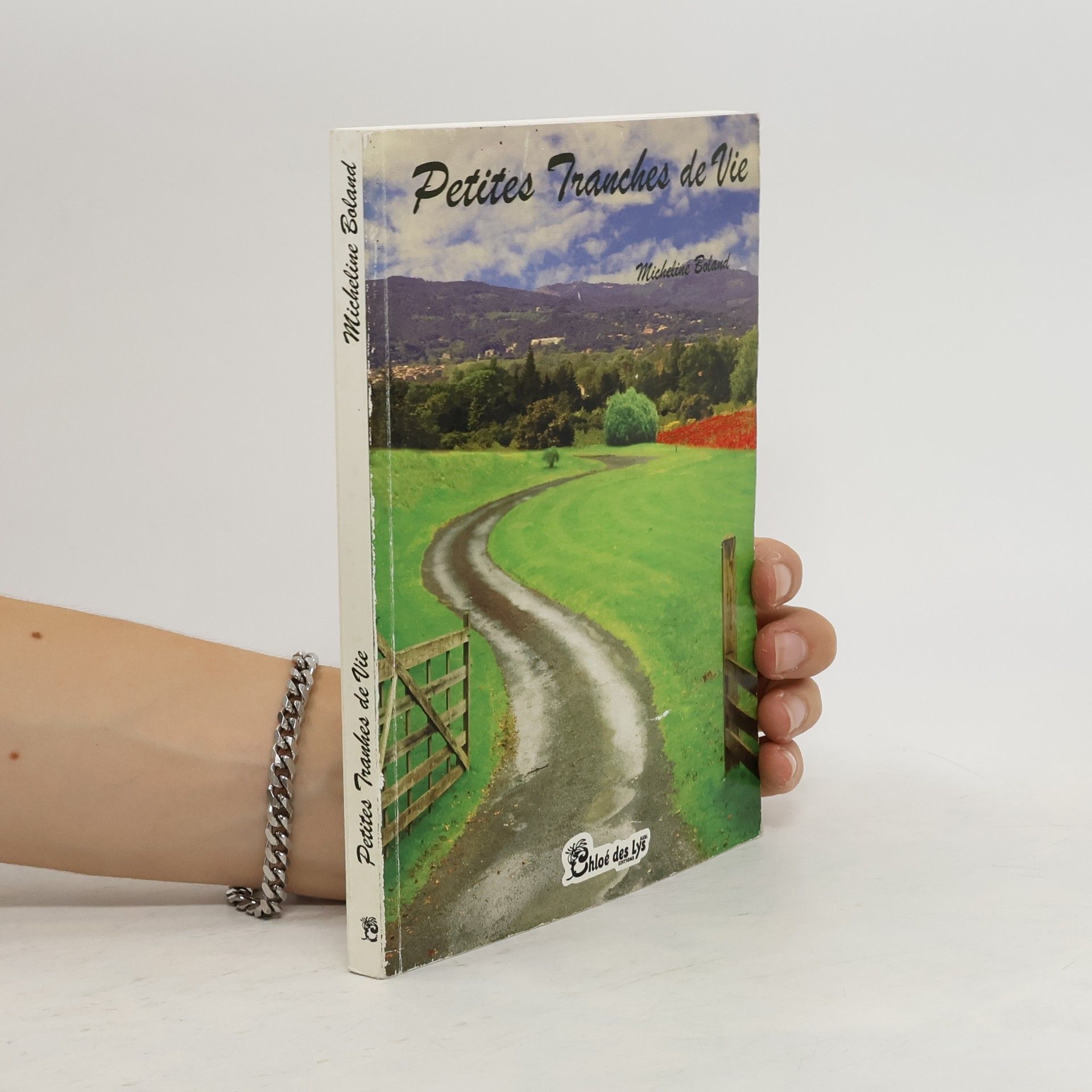 Micheline Boland Petites tranches de vie