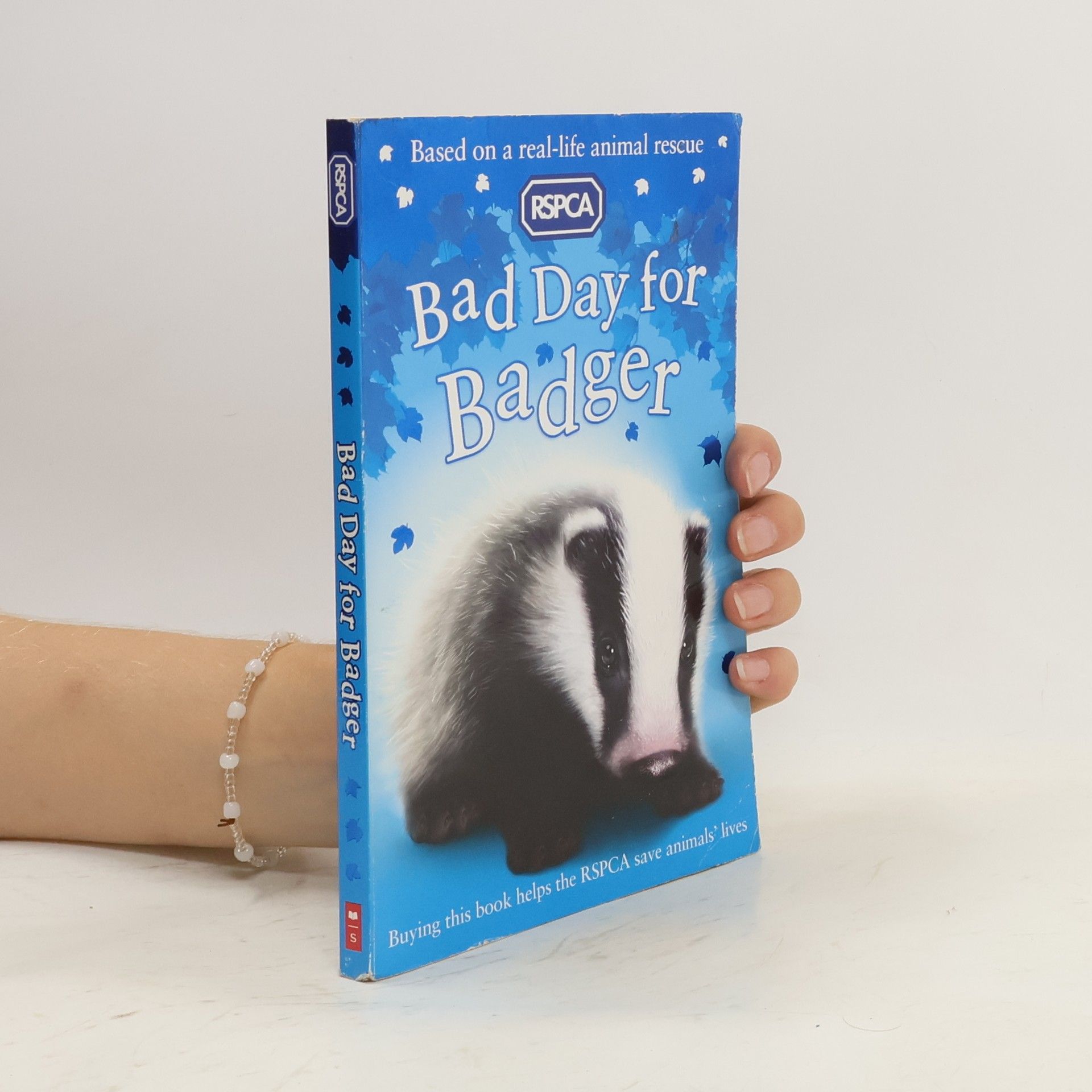 Collectif d'auteurs Bad Day for Badger
