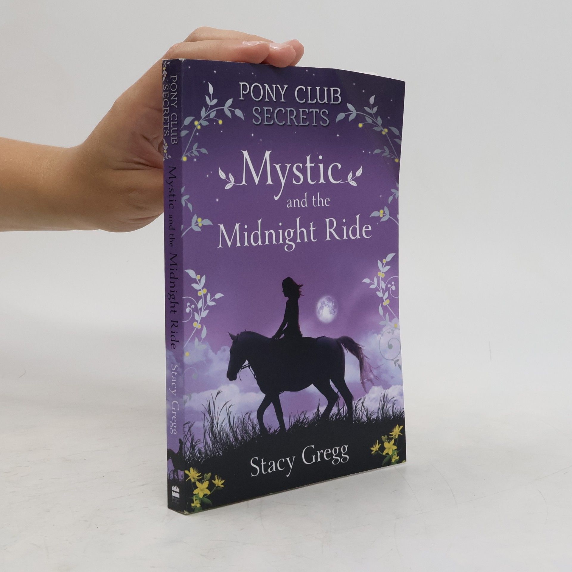 Stacy Gregg Mystic and the Midnight Ride