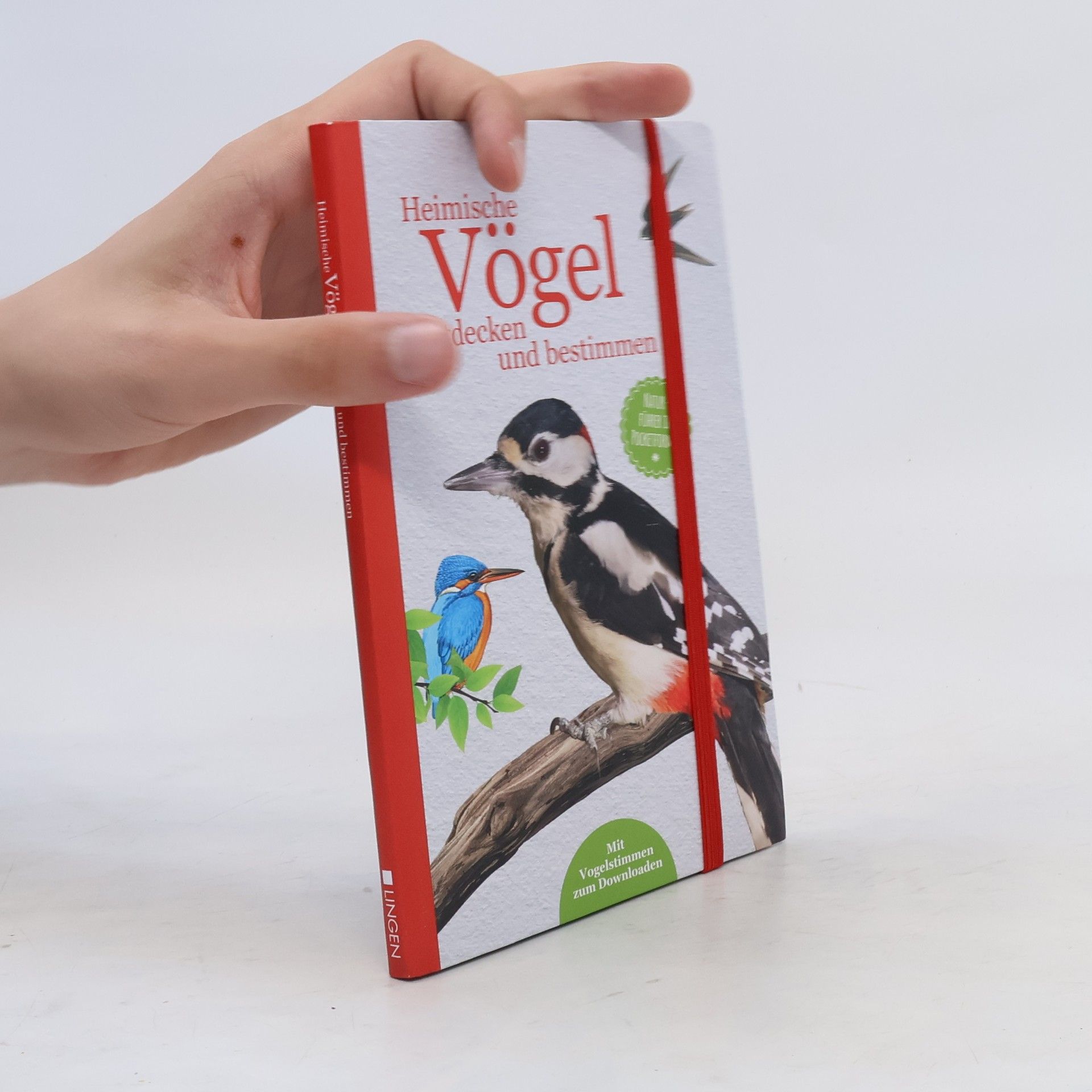 Autorenkollektiv Heimische Vögel entdecken und bestimmen