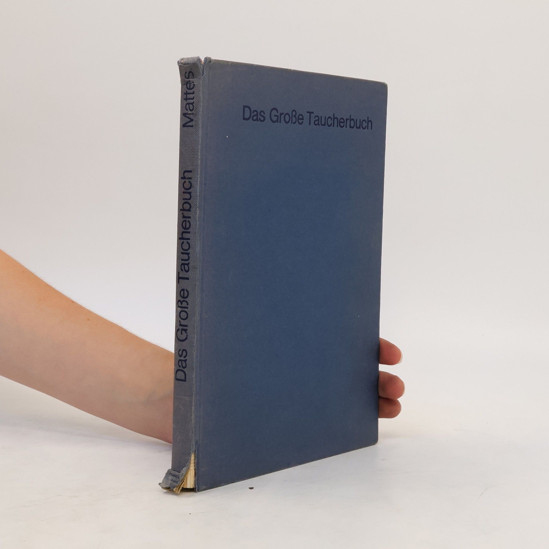 Walter Mattes Das grosse Taucherbuch