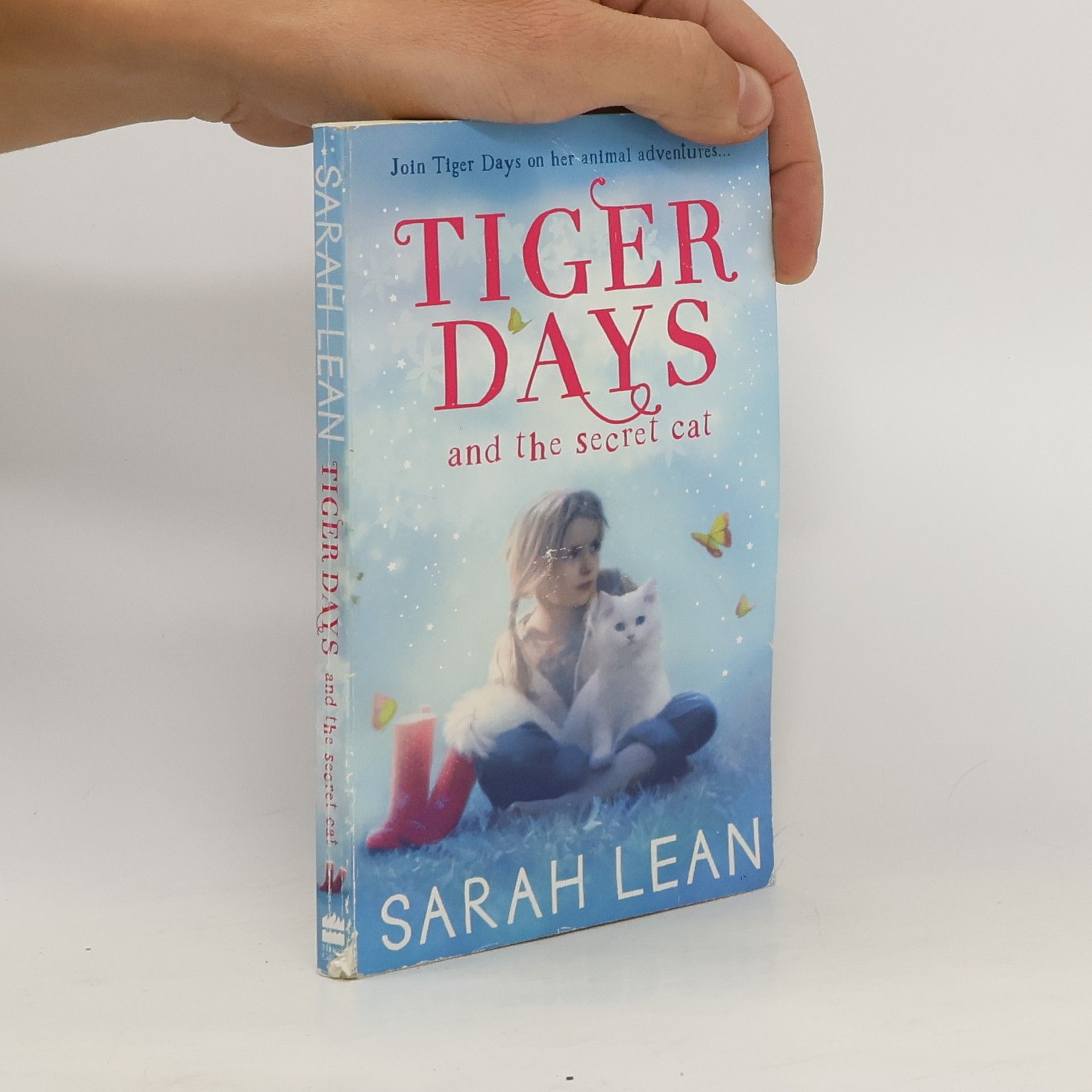 Sarah Lean Tiger Days and the Secret Cat