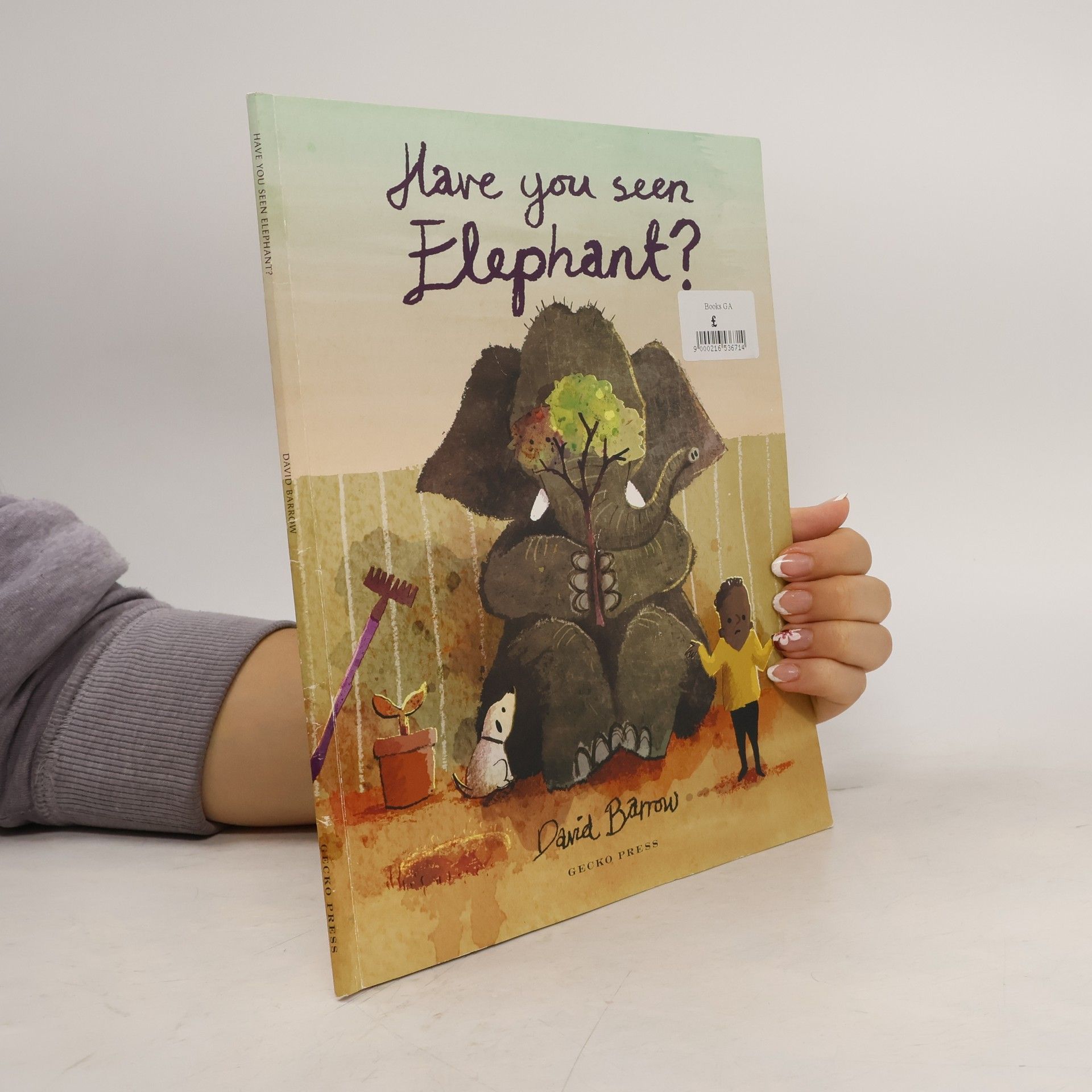 David Barrow Have You Seen Elephant?