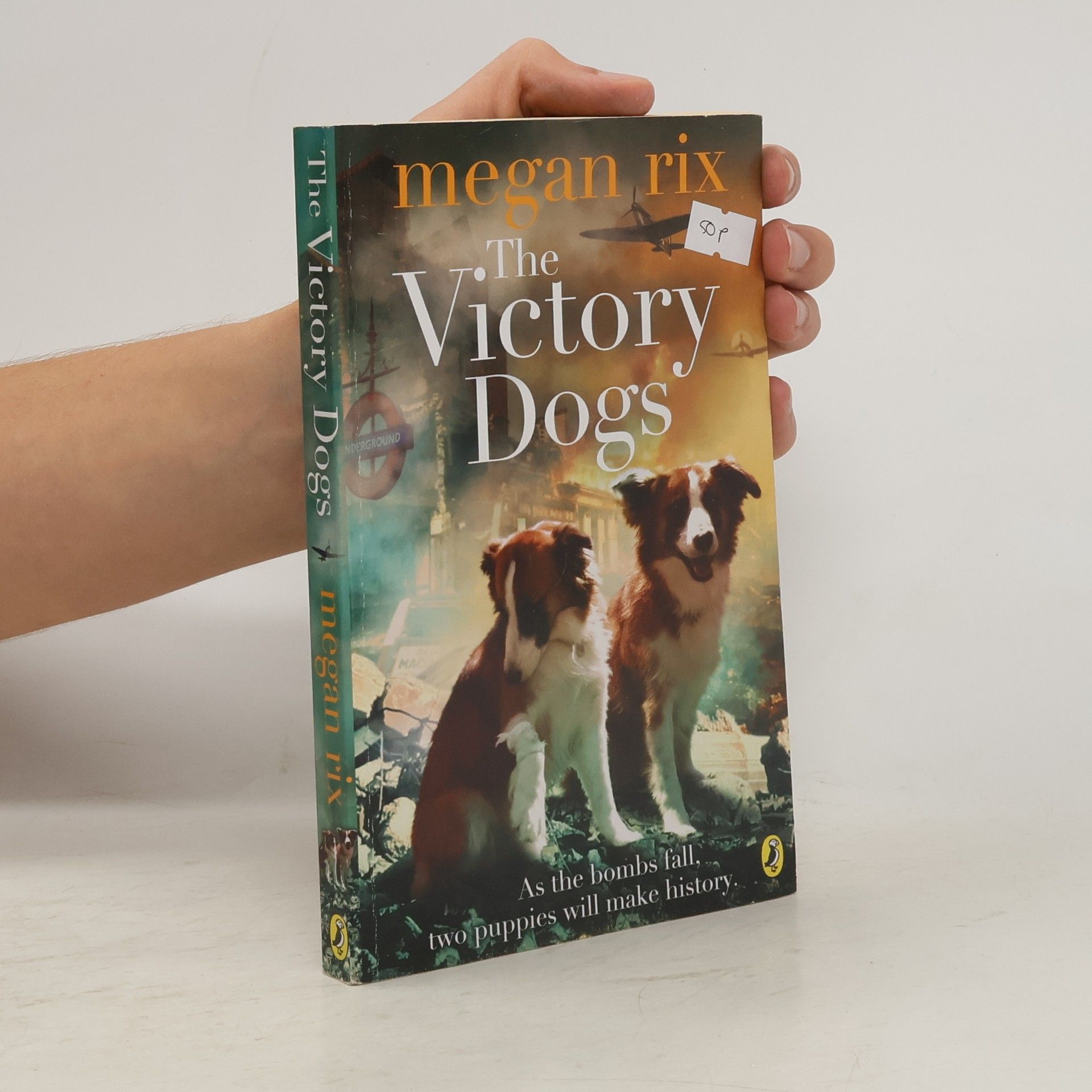 Megan Rix The Victory Dogs