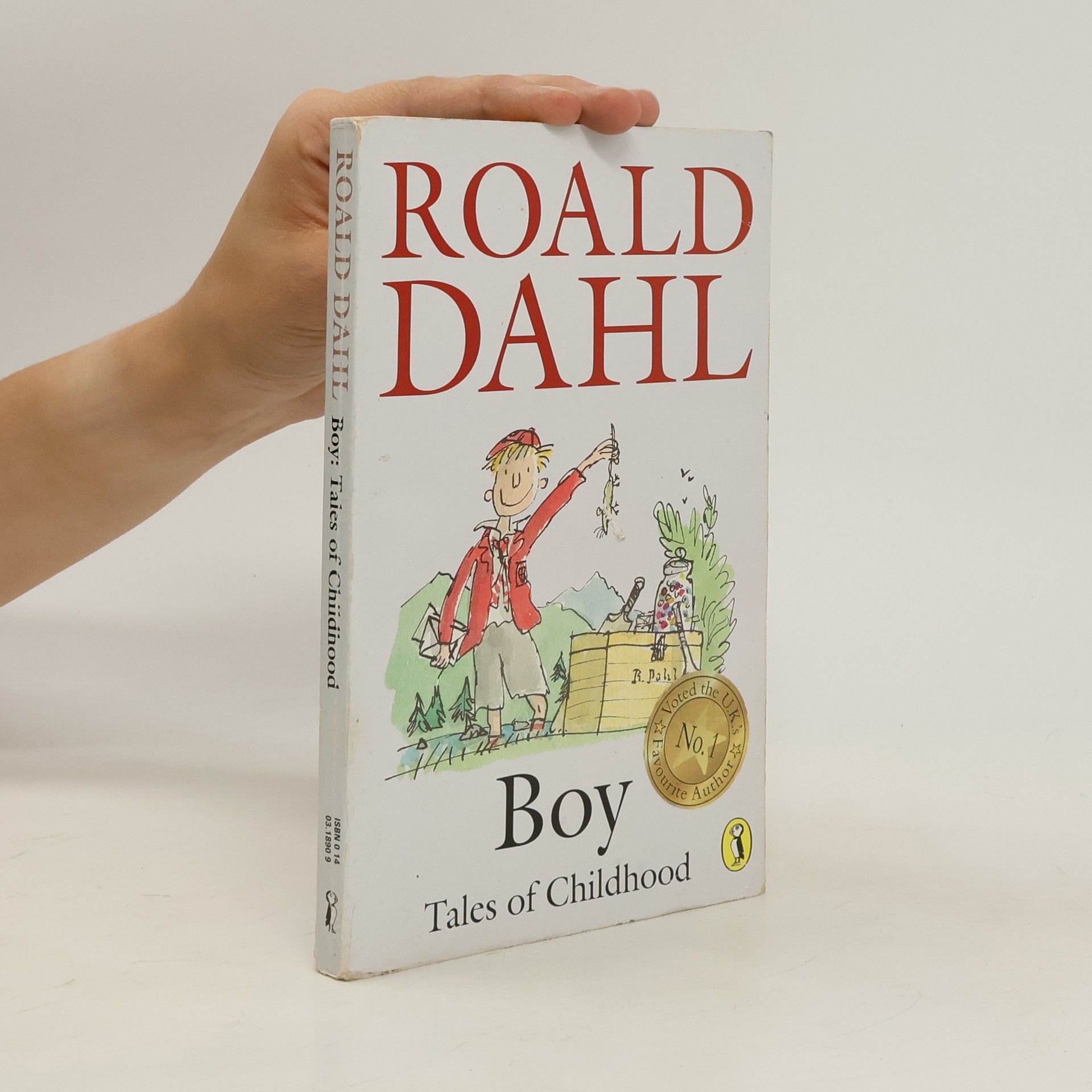 Roald Dahl Boy : tales of childhood