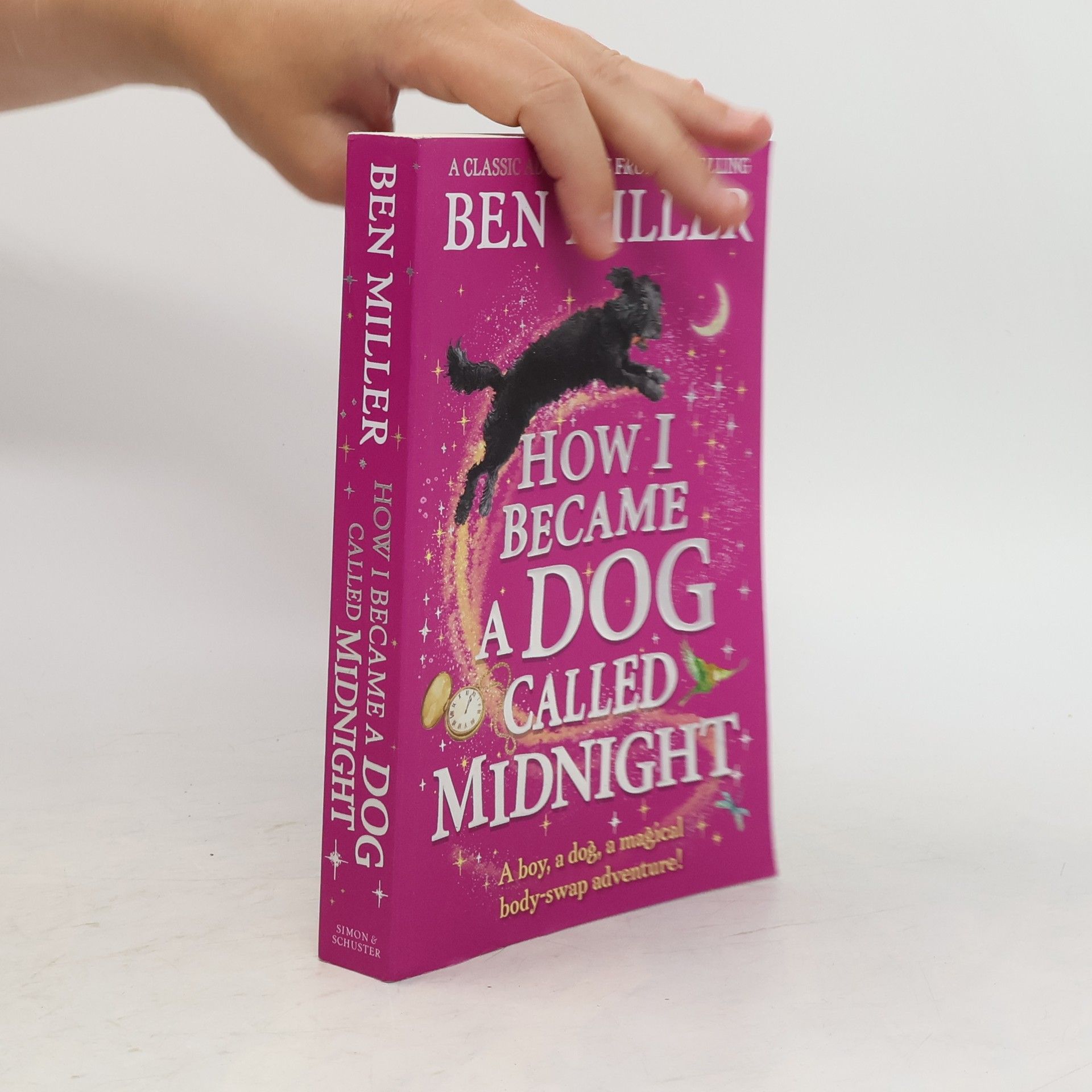 Ben Miller How I Became a Dog Called Midnight