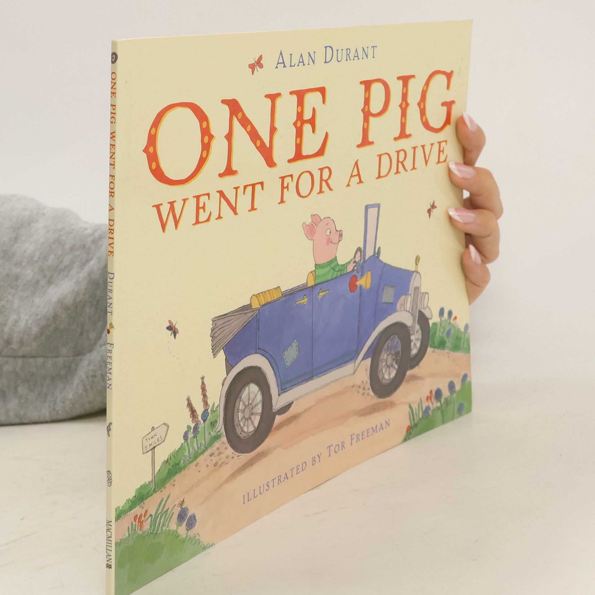 Alan Durant One Pig Went for a Drive