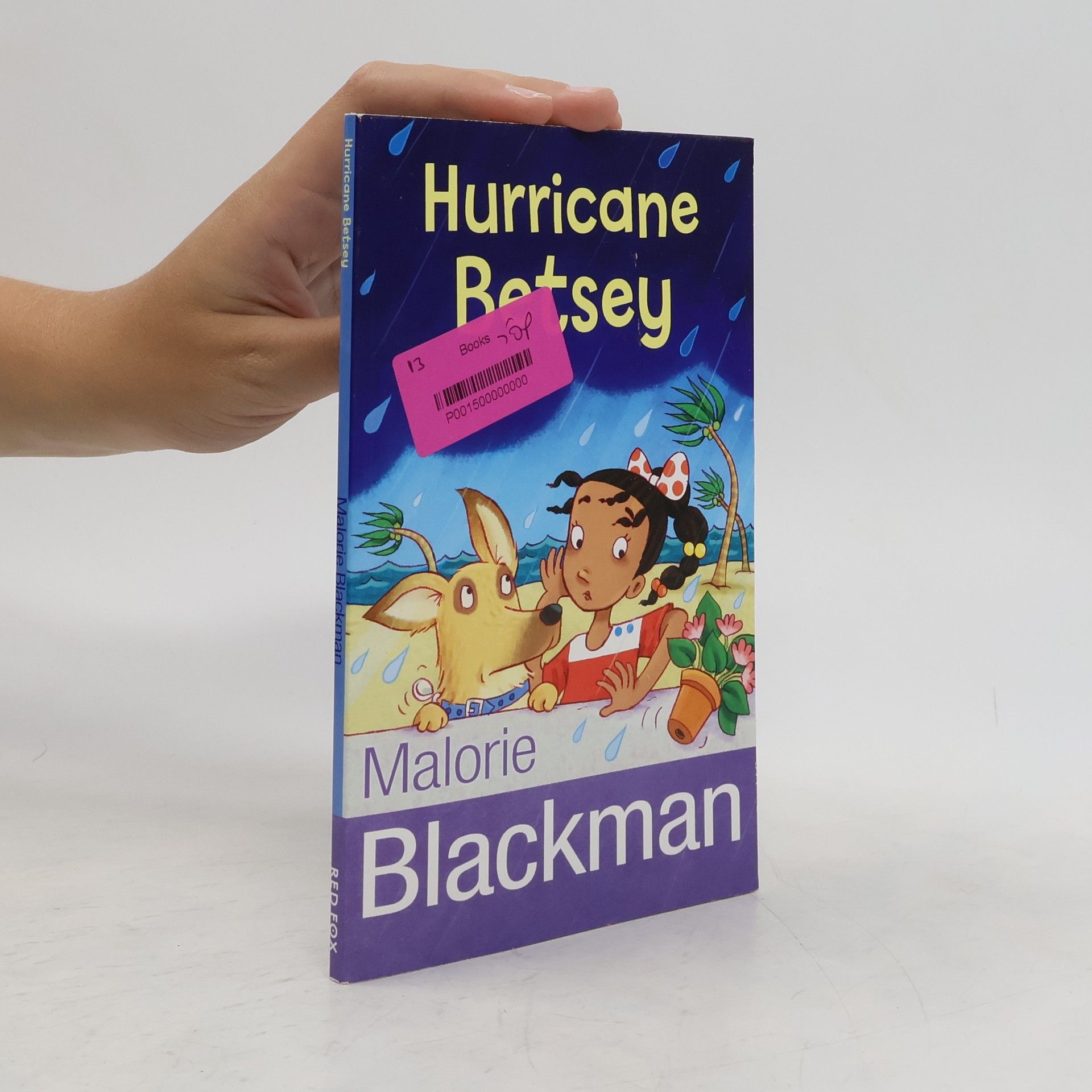 Malorie Blackman Hurricane Betsey