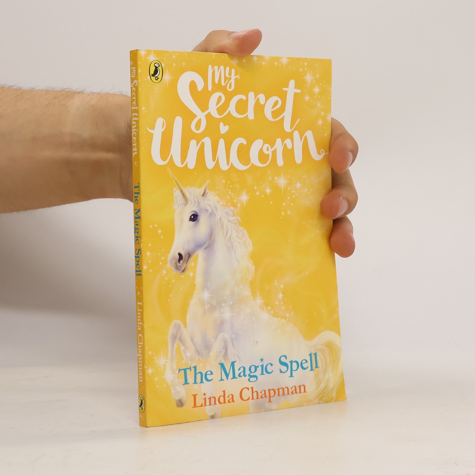 Linda Chapman My Secret Unicorn