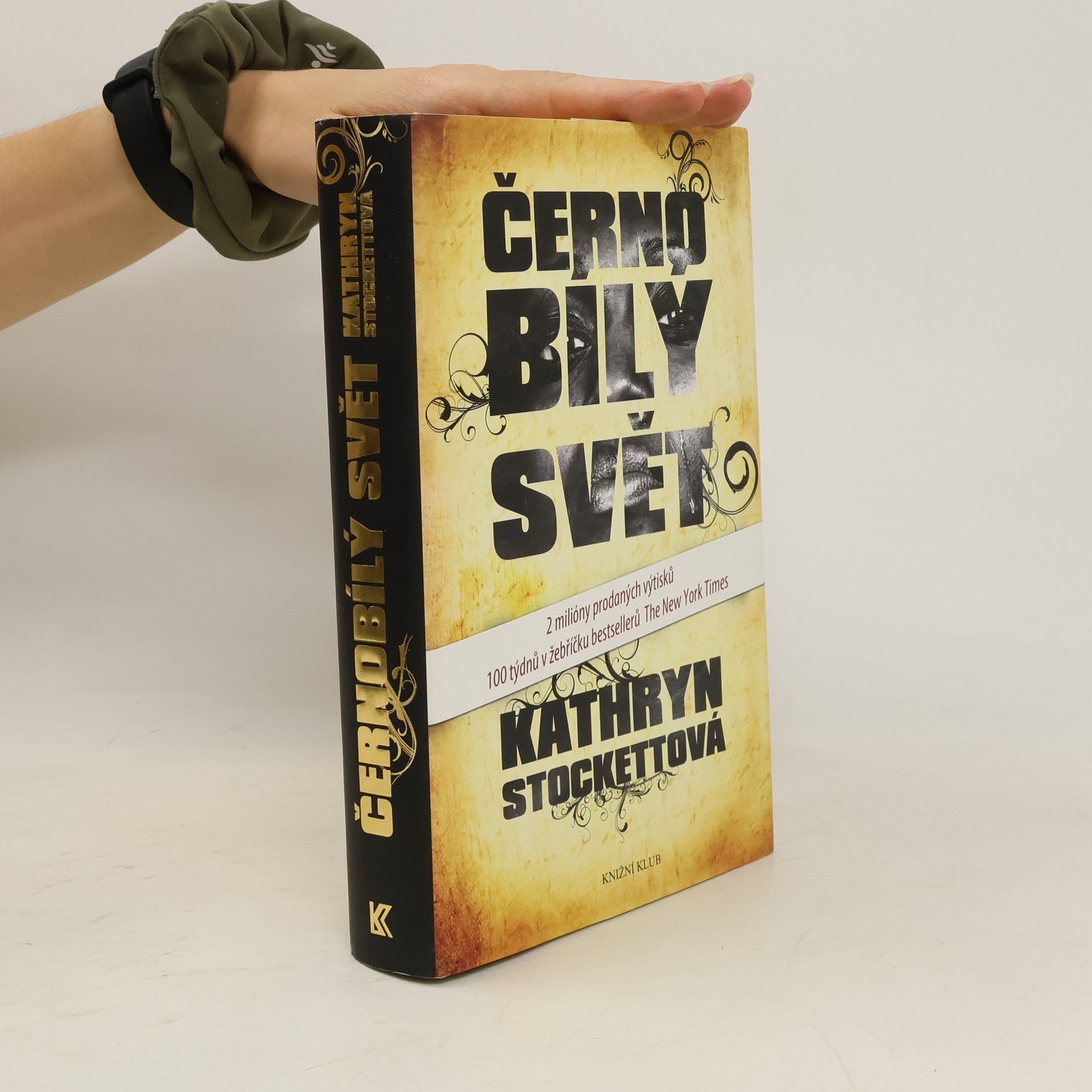 Kathryn Stockett Černobílý svět