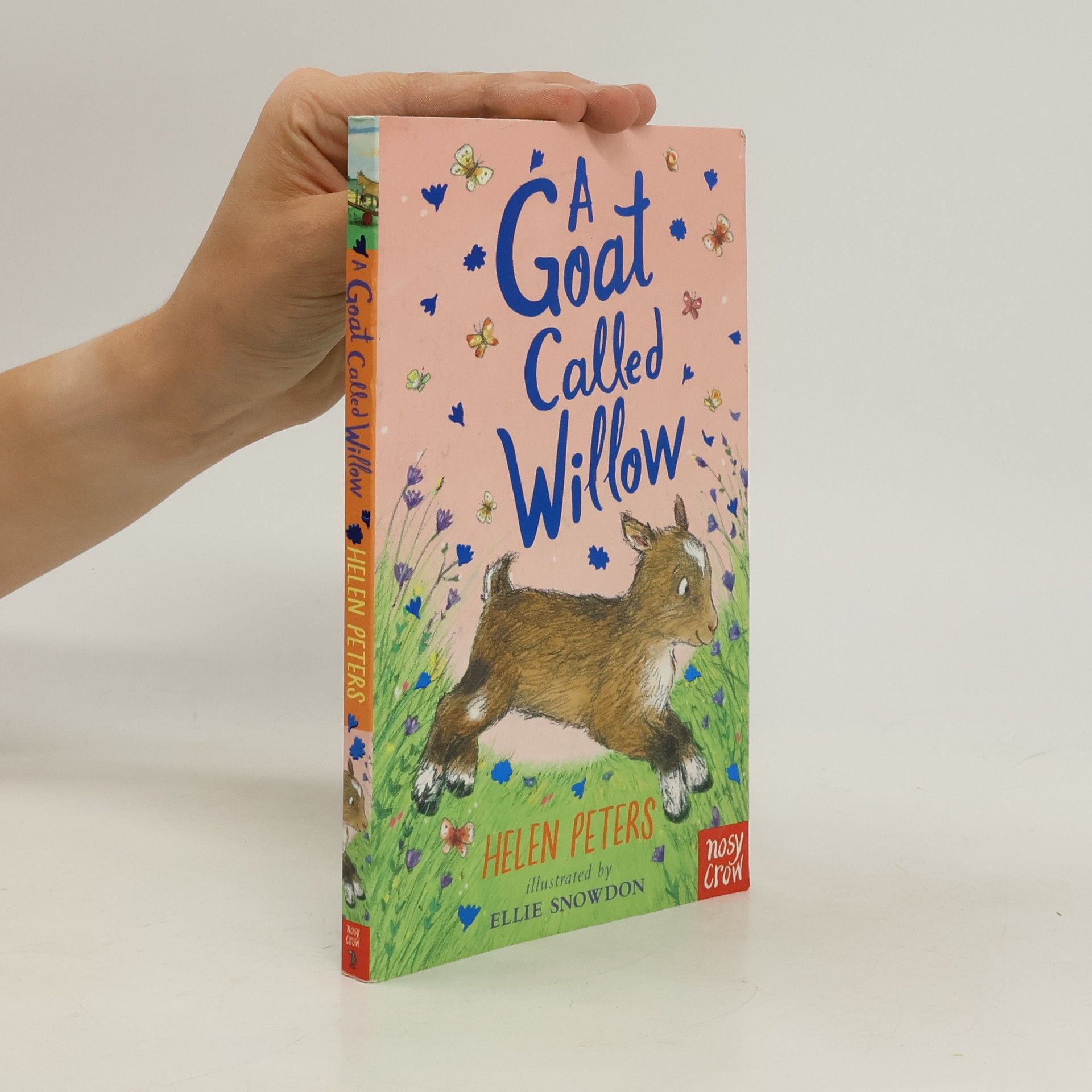 Helen Peters A Goat Called Willow