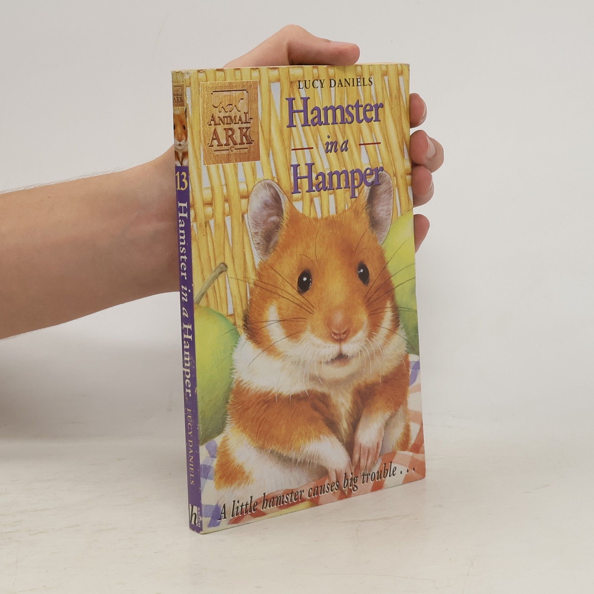 Lucy Daniels Hamster in a Hamper