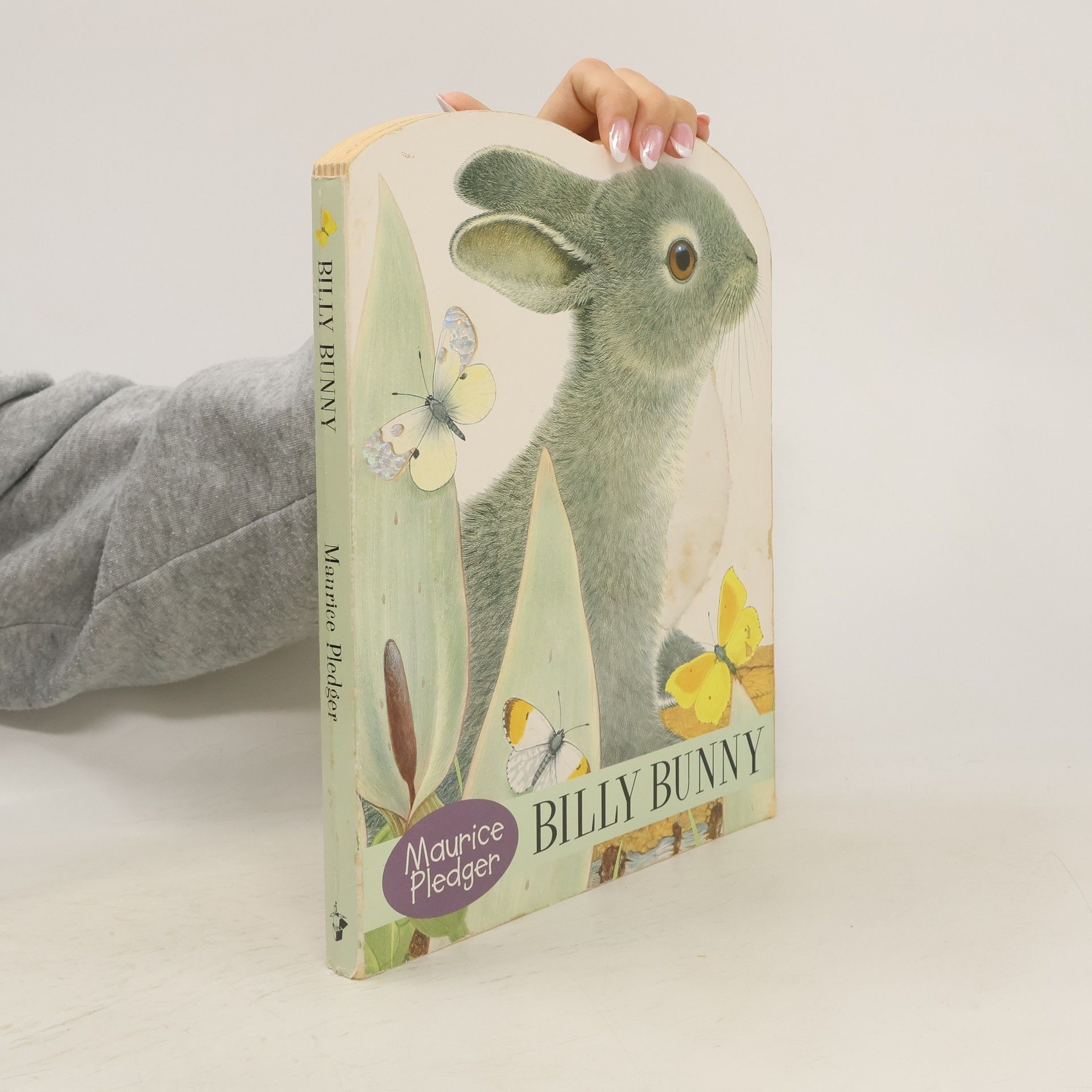 Maurice Pledger Billy Bunny