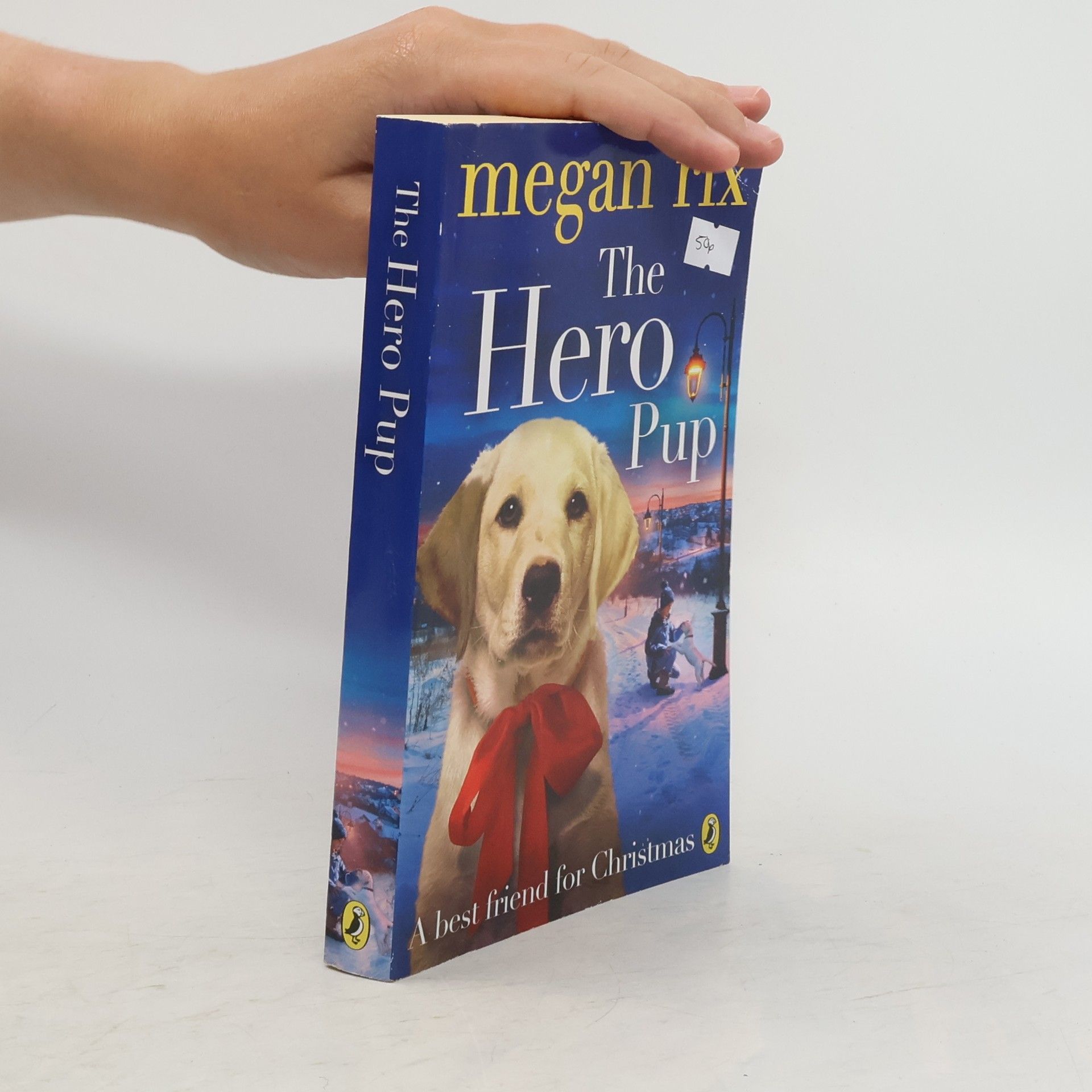 Megan Rix The Hero Pup