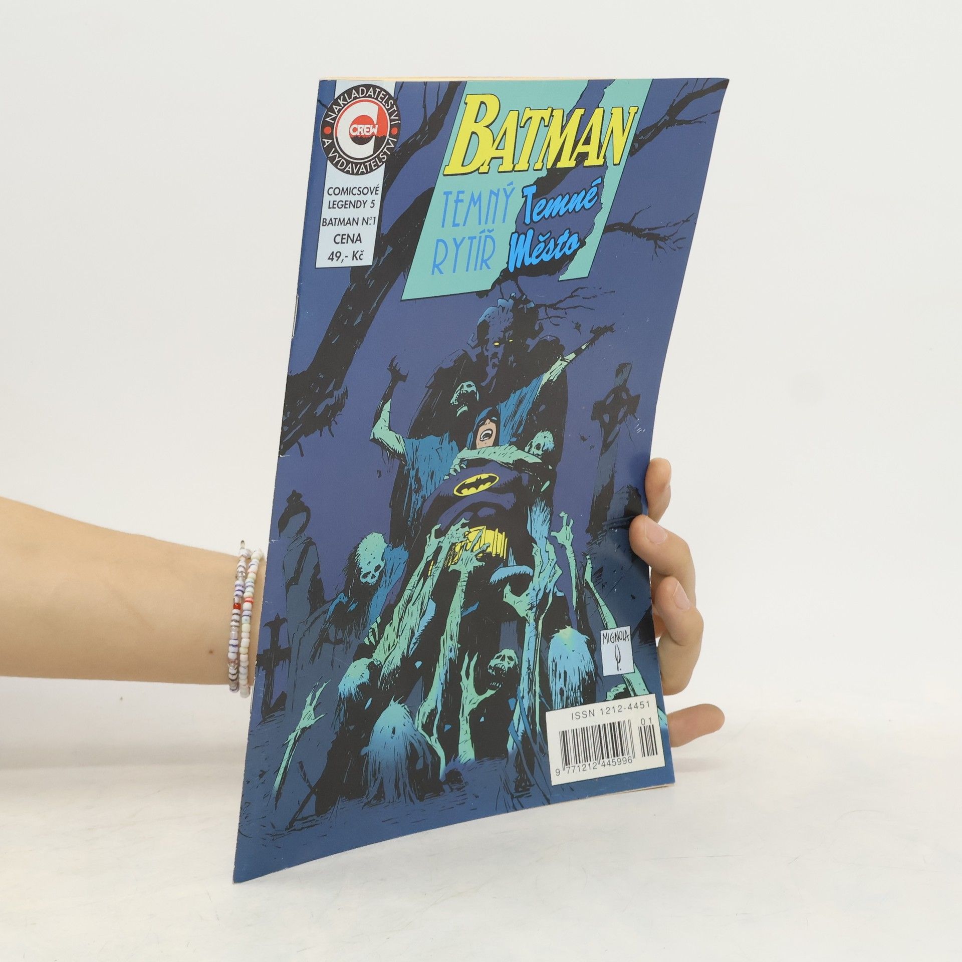 Collectif d'auteurs Batman. Temný rytíř. Temné město