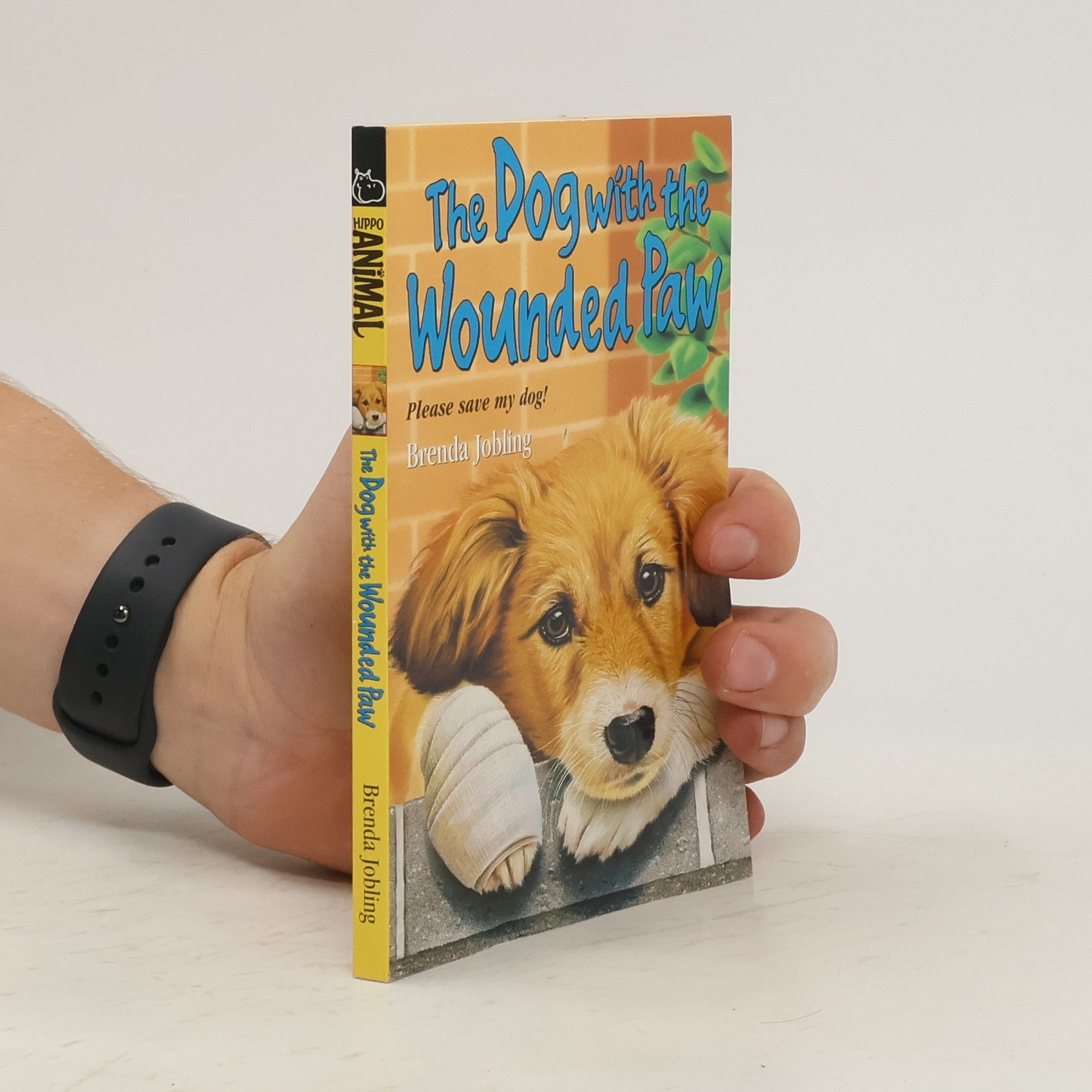 Brenda Jobling The Dog with the Wounded Paw