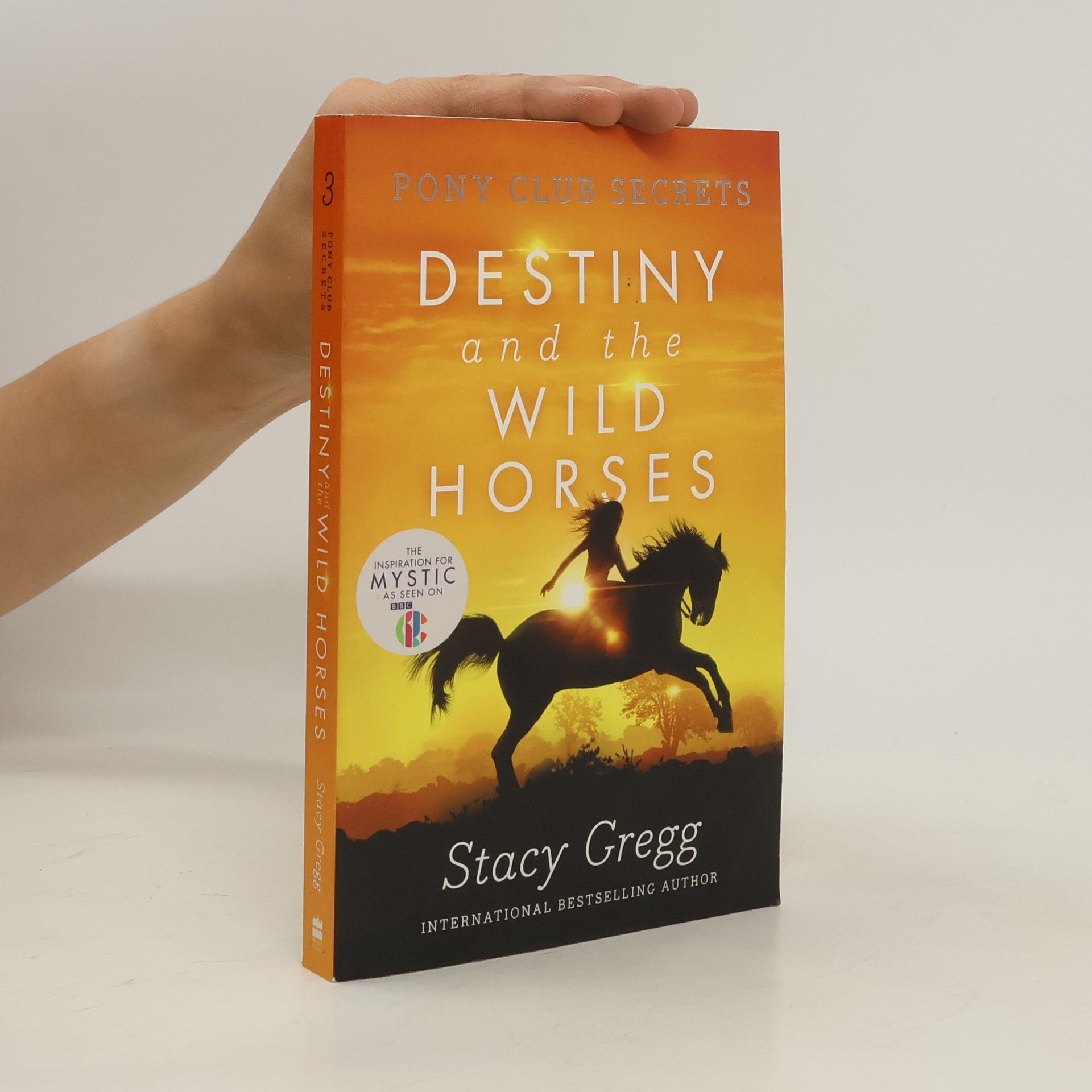 Stacy Gregg Destiny and the Wild Horses