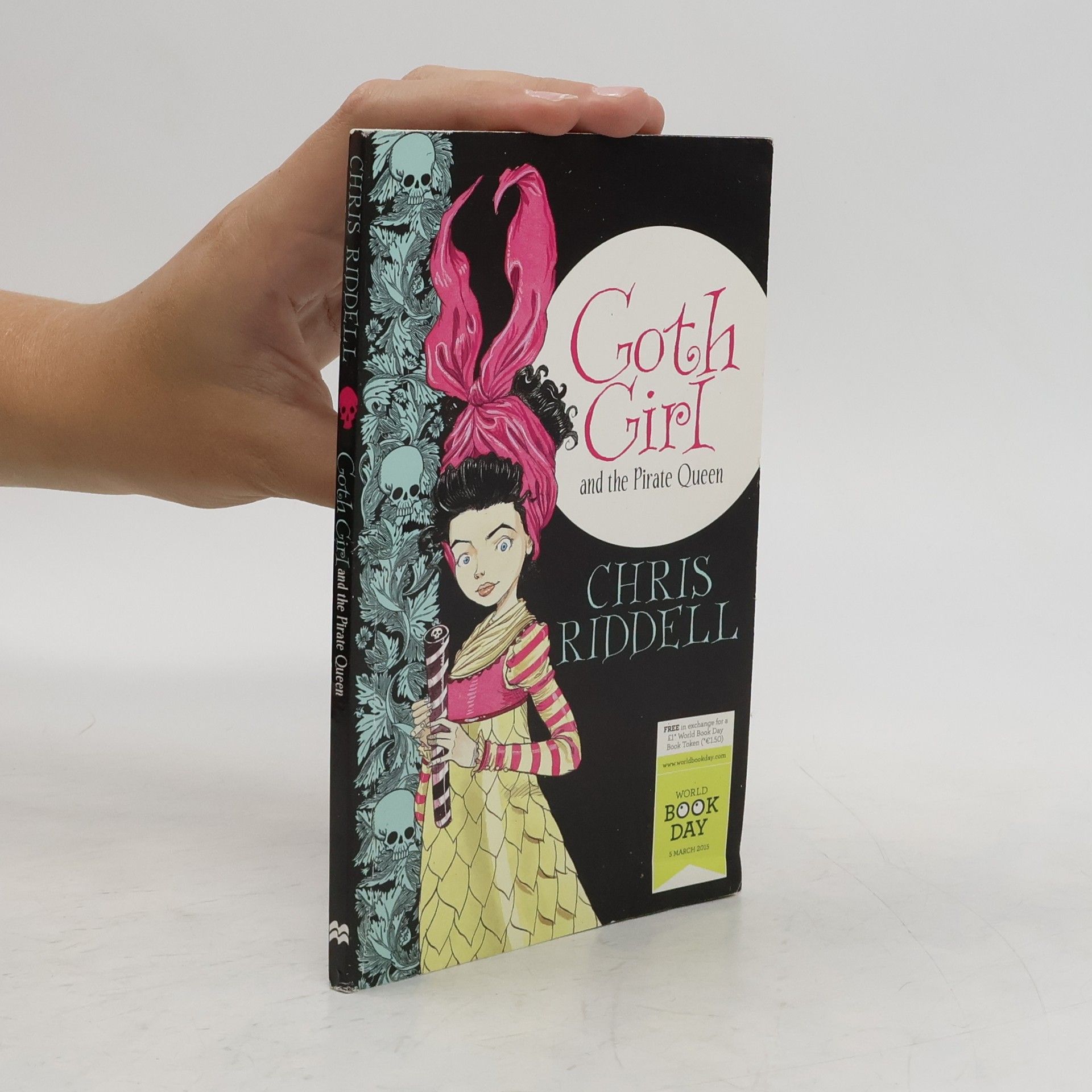 Chris Riddell Goth Girl and the Pirate Queen