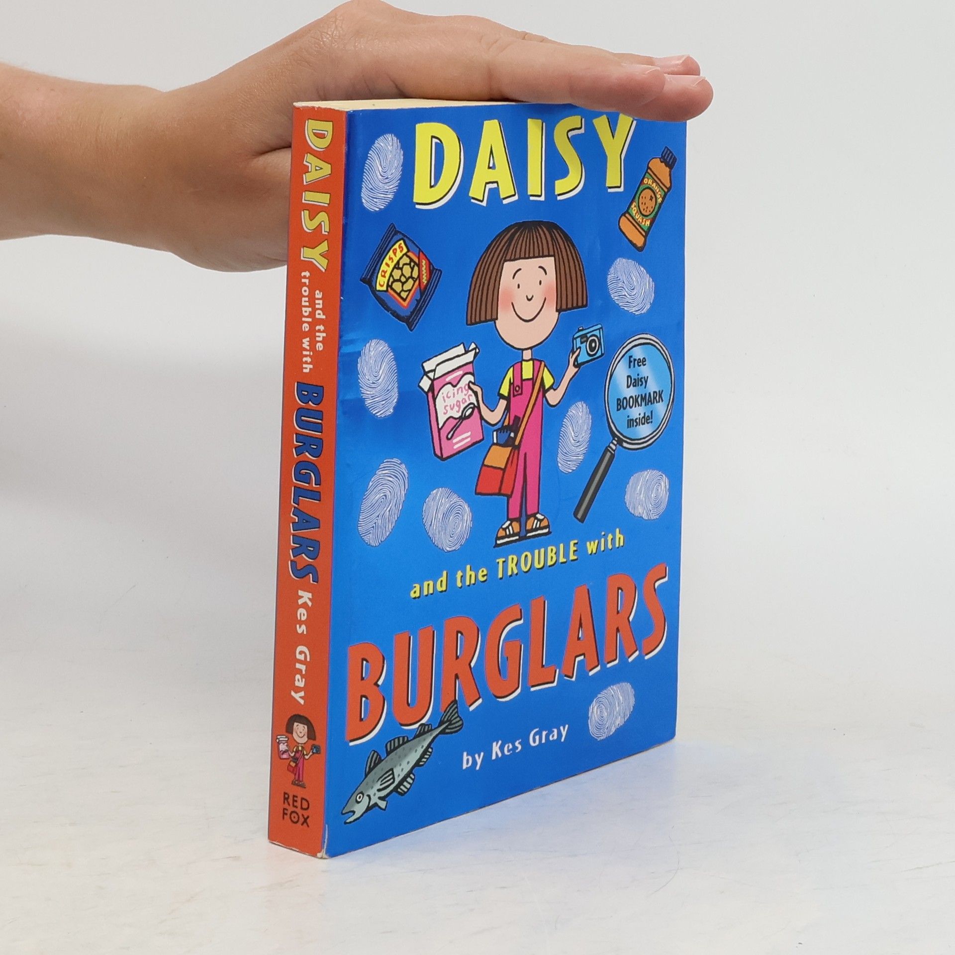 Kes Gray Daisy and the Trouble with Burglars