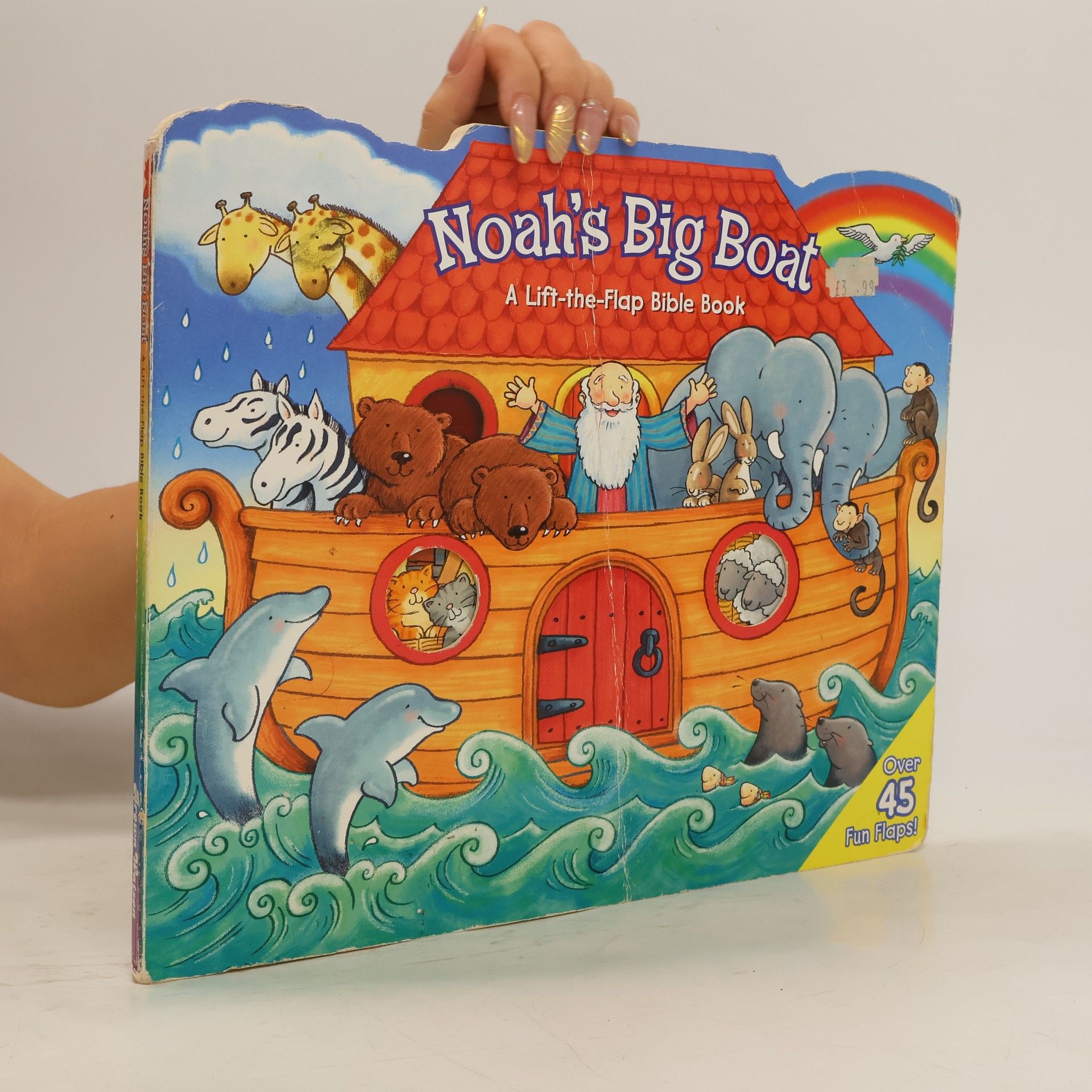 Allia Zobel Nolan Noah's Big Boat