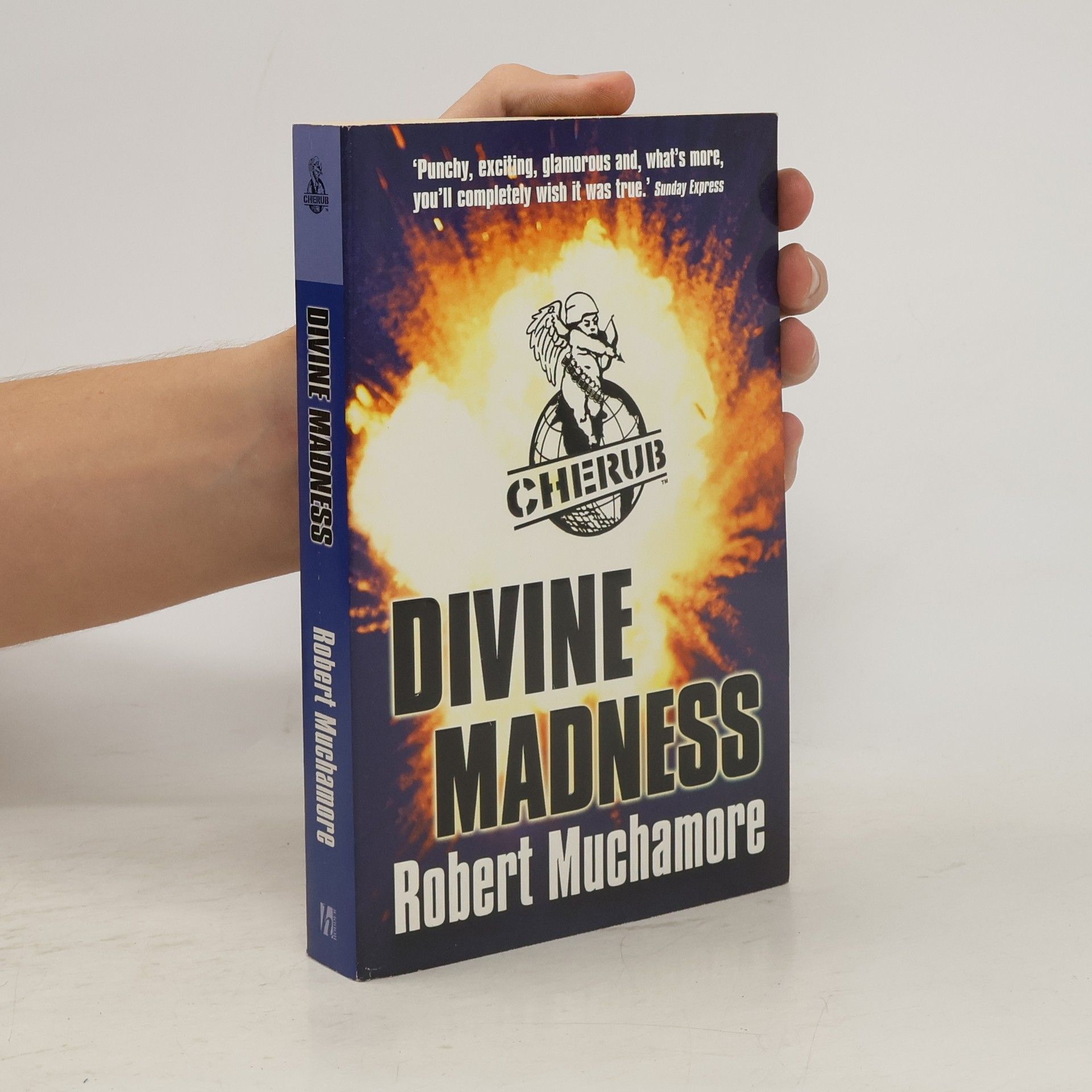 Robert Muchamore Divine madness