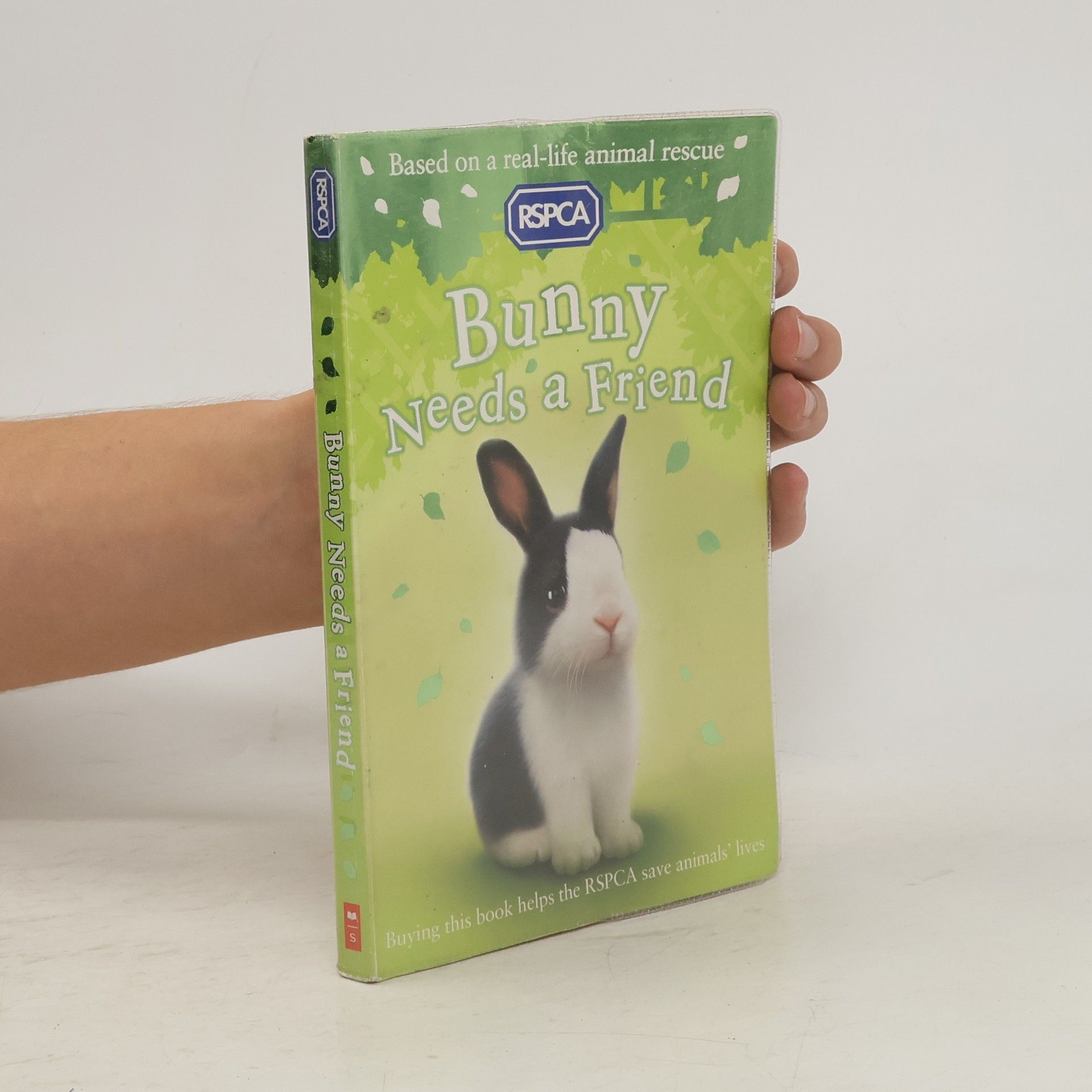 Jill Hucklesby Bunny Needs a Friend