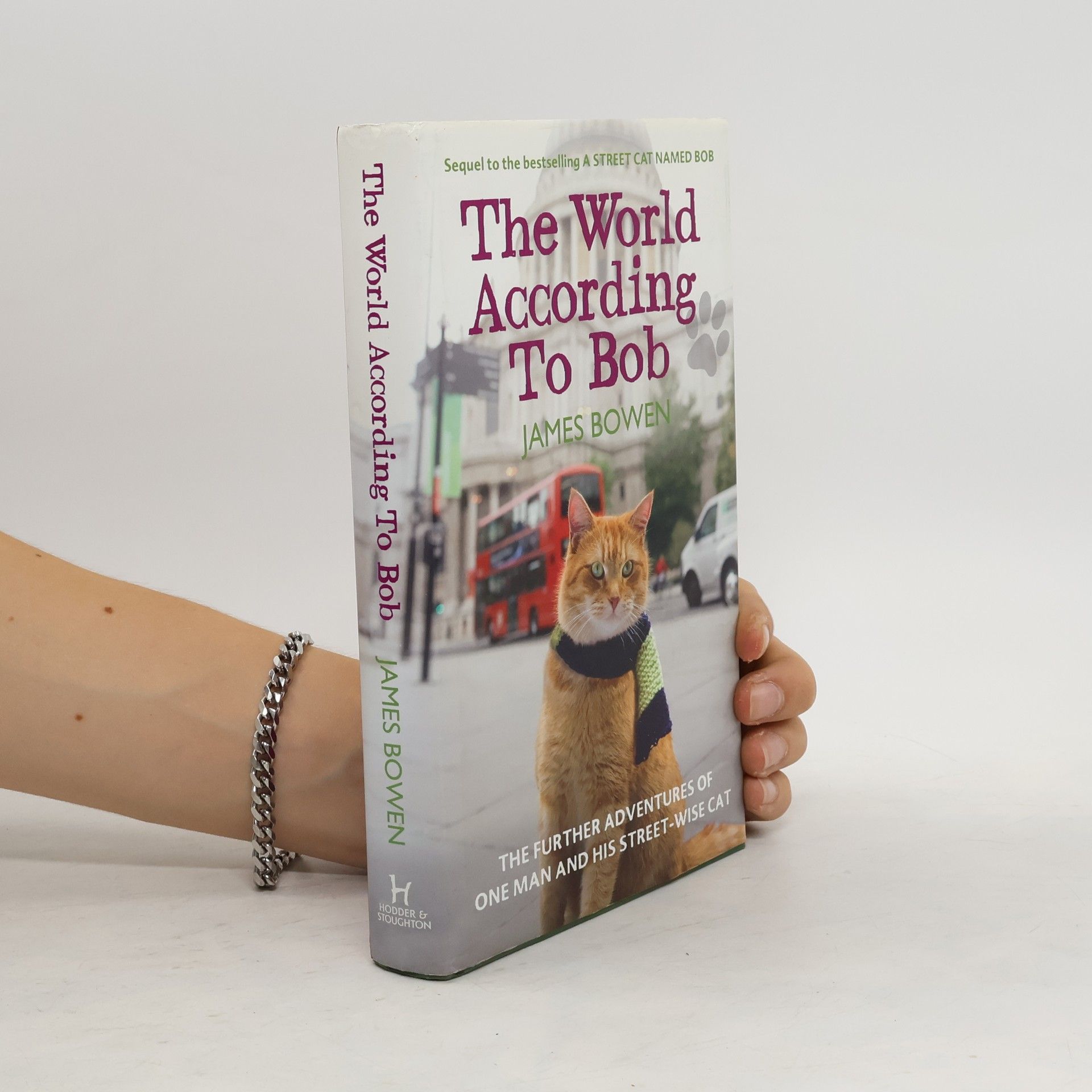 James Bowen The World According To Bob