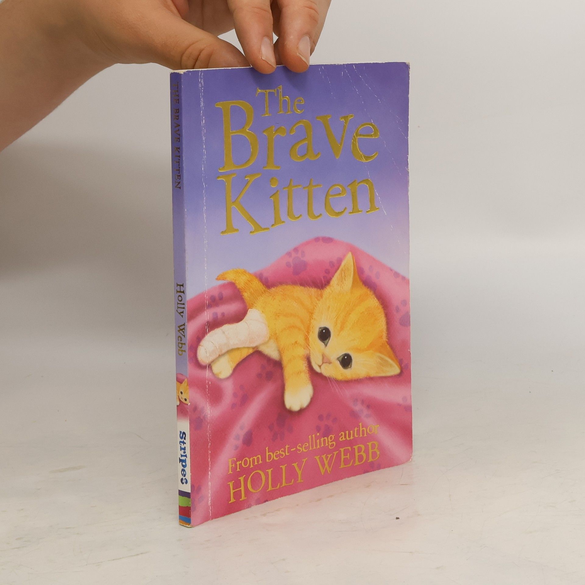 Holly Webb The Brave Kitten