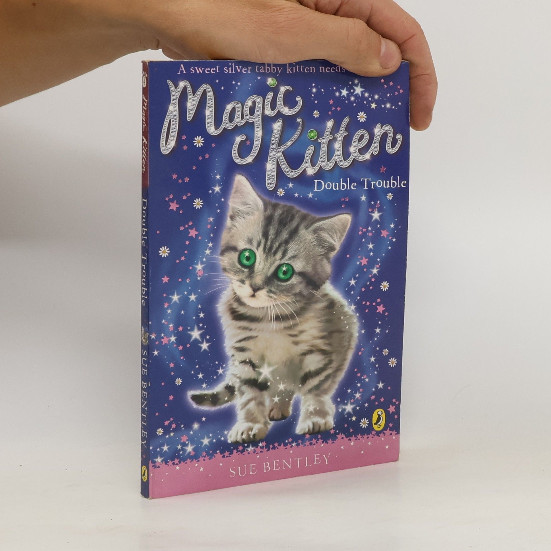 Sue Bentley Magic Kitten